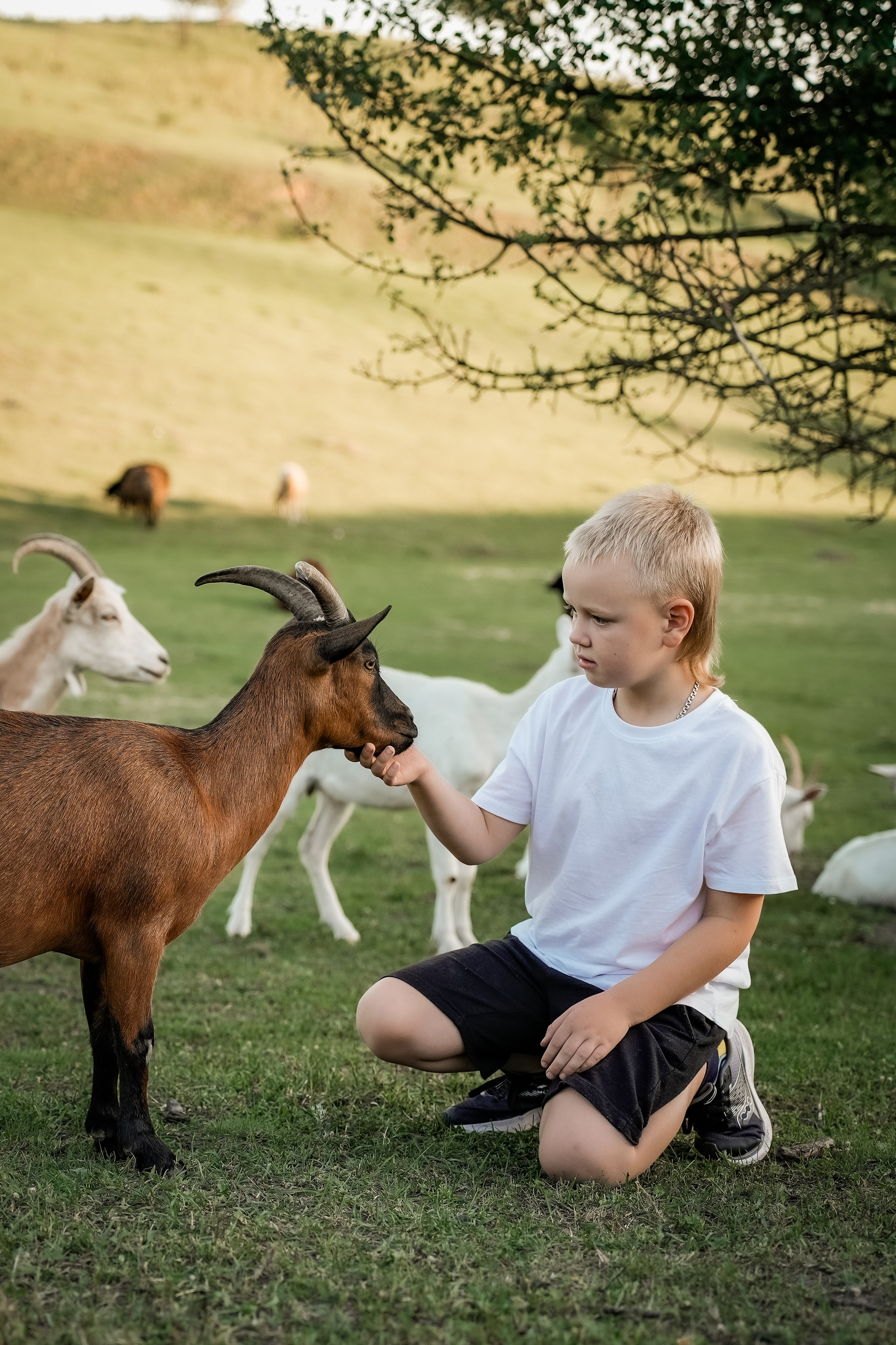 Сімейна фотосесія на овечій фермі. Сімейний фотограф Київ Наталія Шкаврон