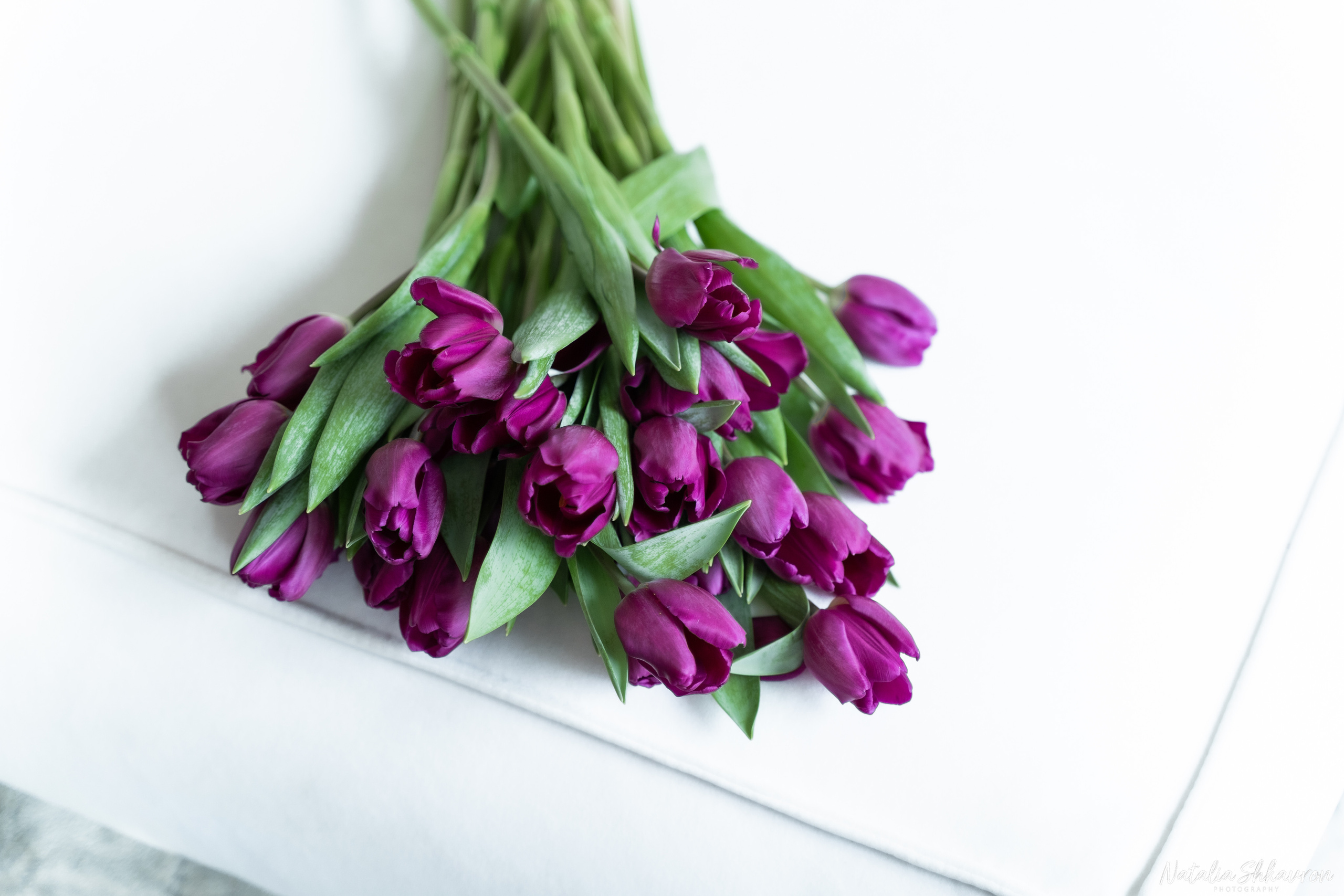 Фотосесія мама та доня до дня 8 березня. Family photographer in Kiev Natalia Shkavron