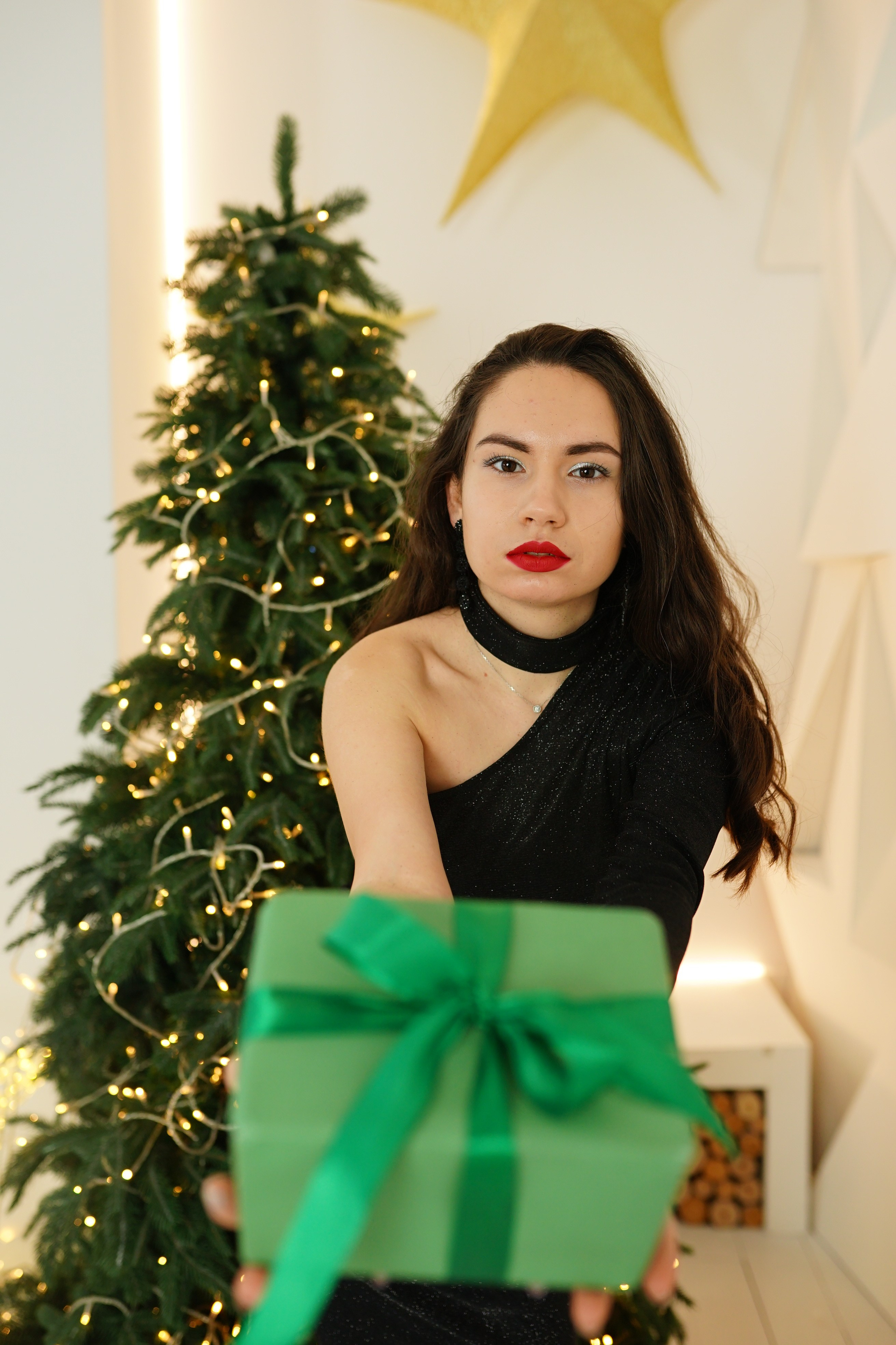 Індивідуальна новорічна фотосесія. Сімейний фотограф Київ Наталія Шкаврон