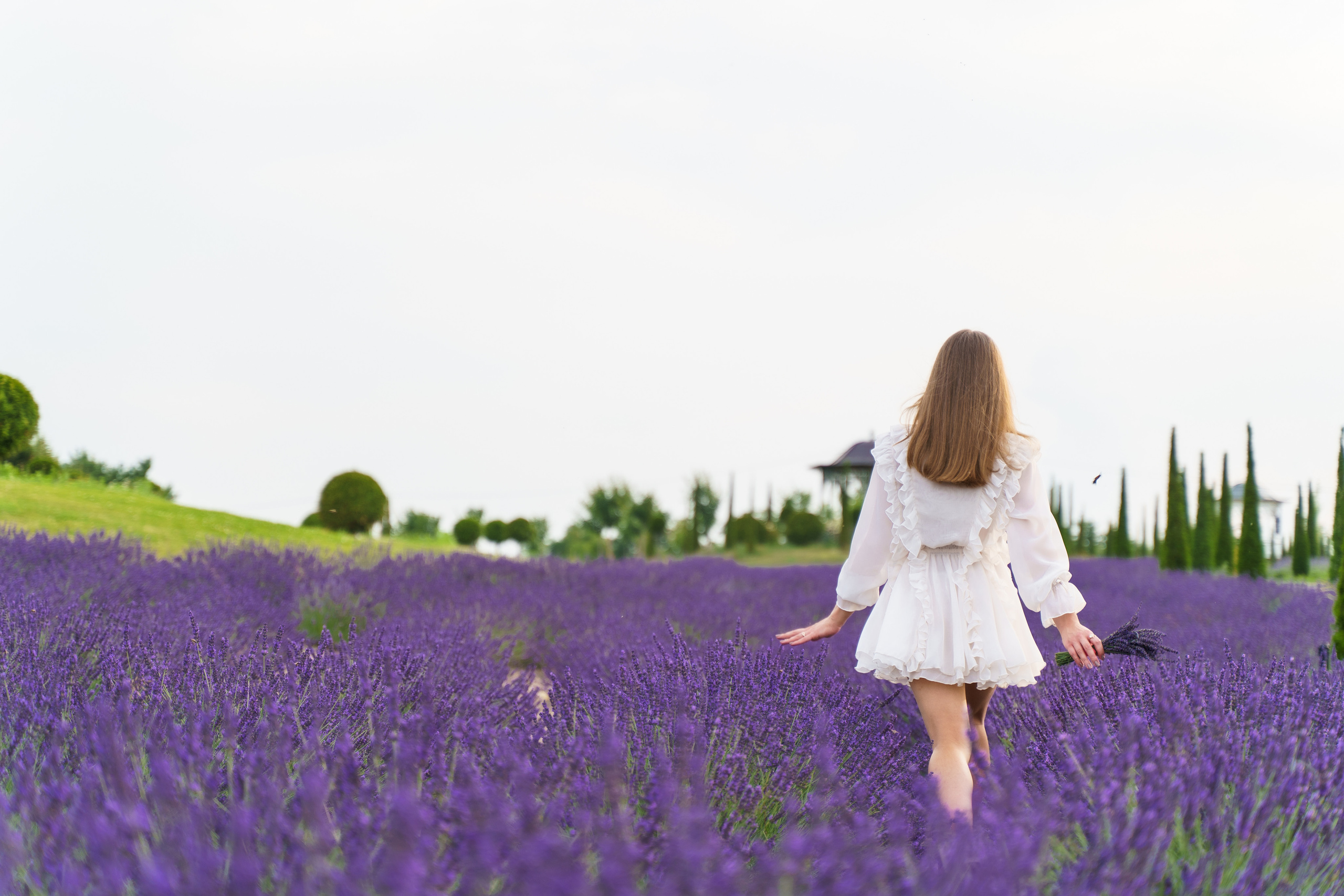 Фотосесія в лаванді у Добропарку. Family photographer in Kiev Natalia Shkavron