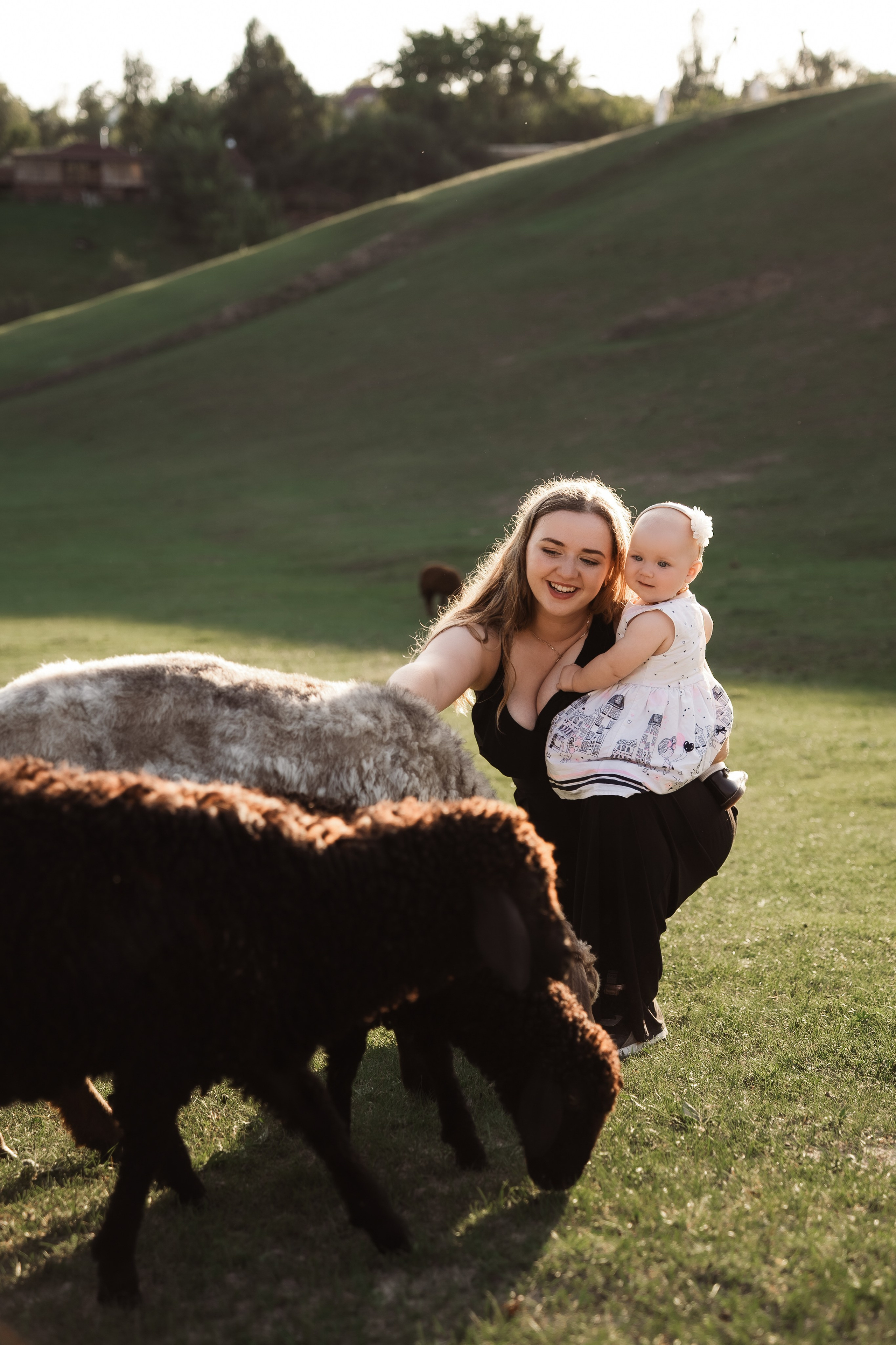 Святкування 1-го дня народження на овечій фермі. Family photographer in Kiev Natalia Shkavron