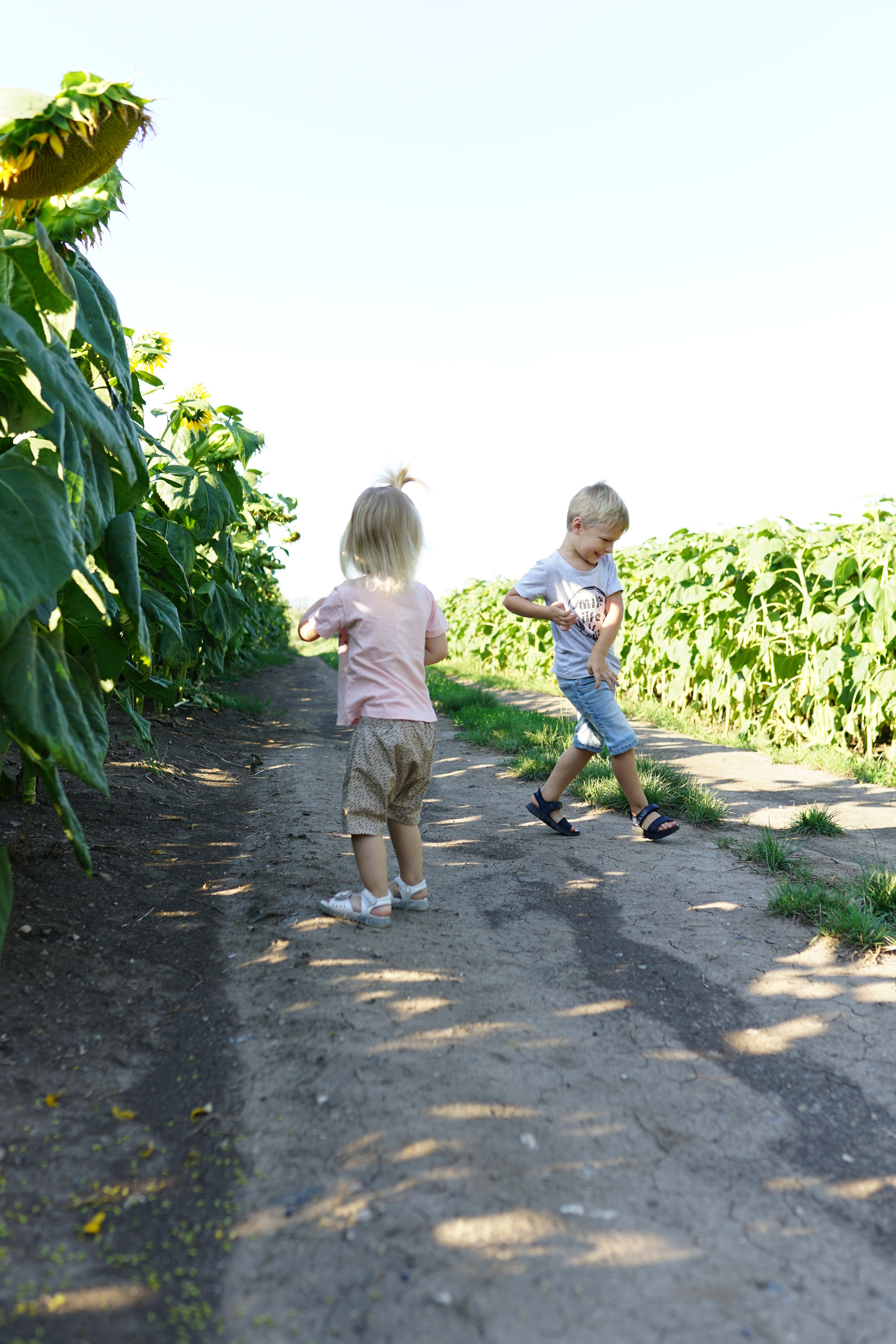 Сімейна фотосесія з кавунами. Family photographer in Kiev Natalia Shkavron