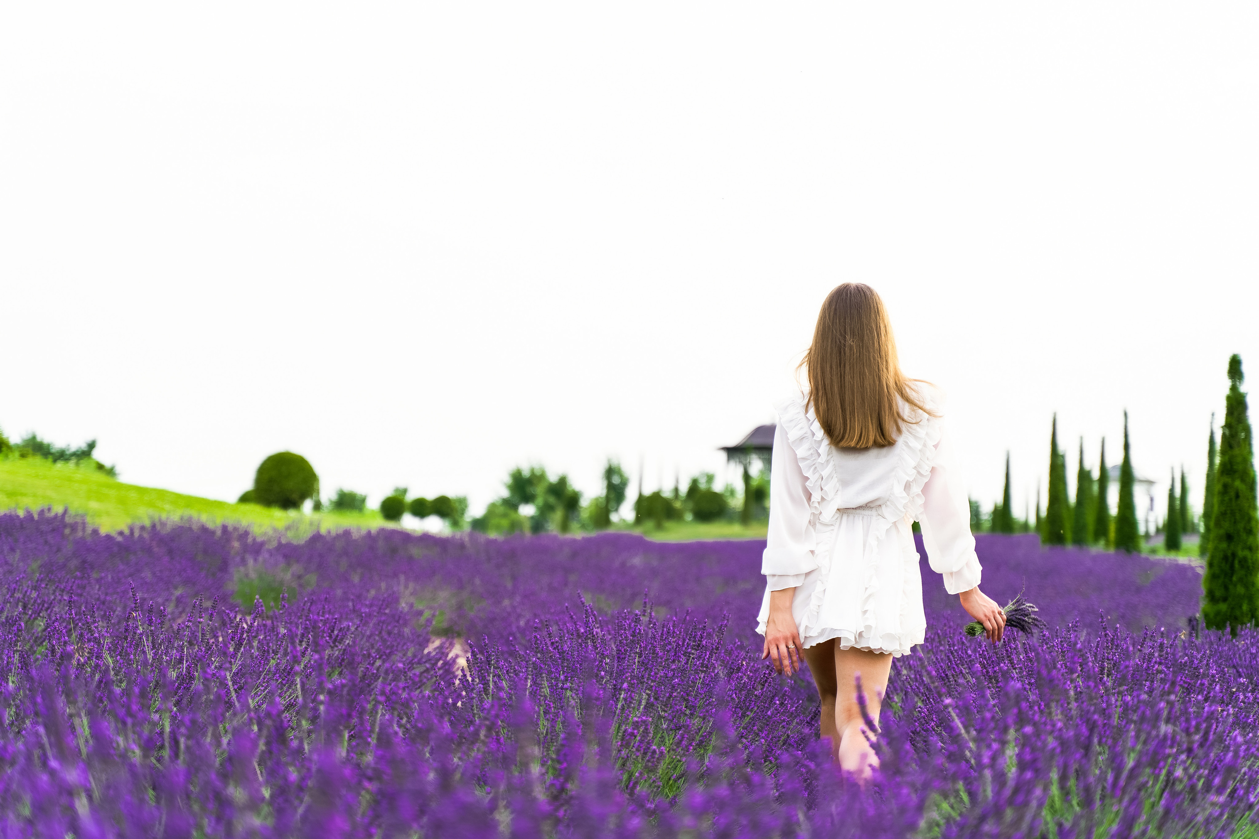 Фотосесія в лаванді у Добропарку. Family photographer in Kiev Natalia Shkavron
