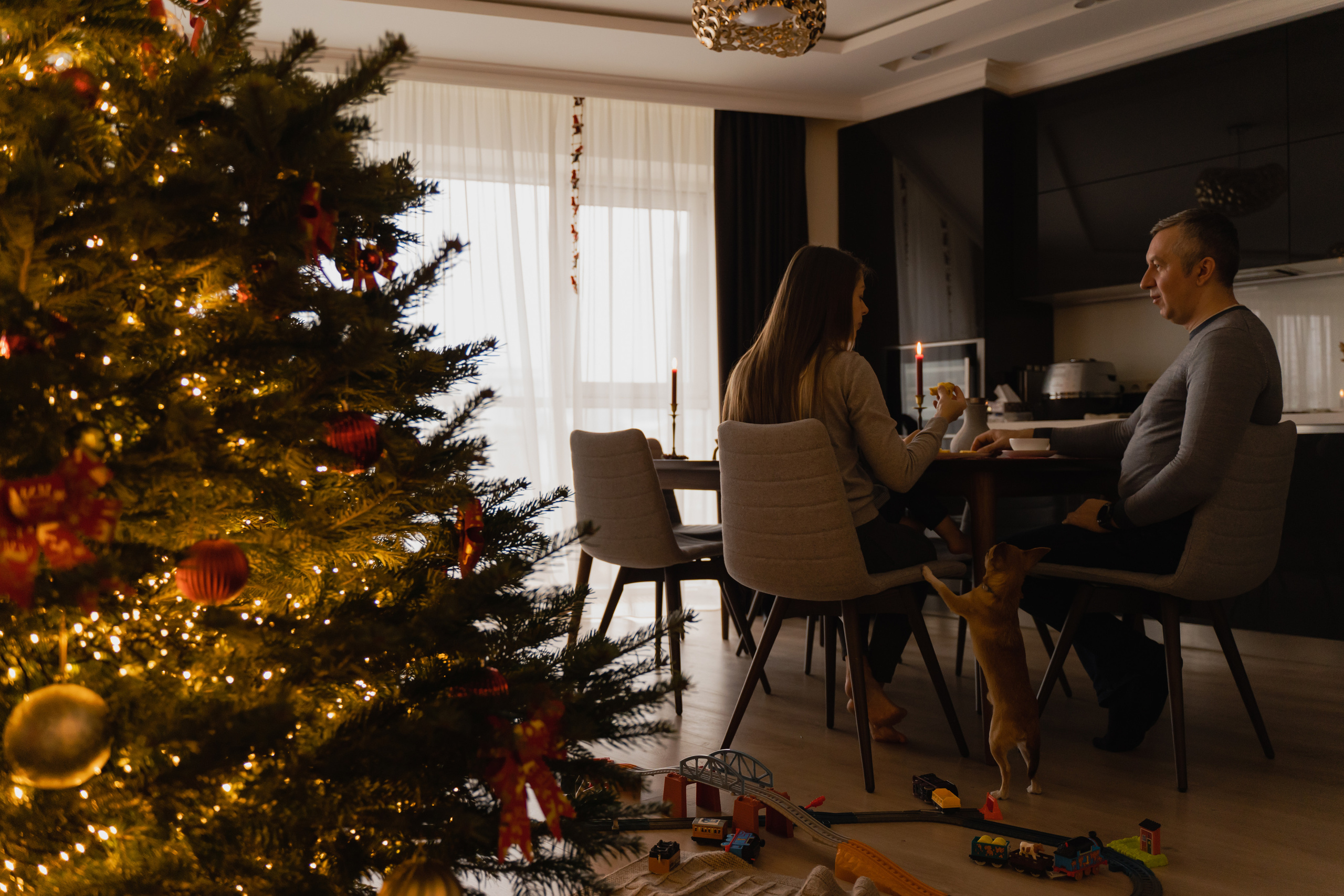 Новорічна домашня фотосесія. Сімейний фотограф Київ Наталія Шкаврон