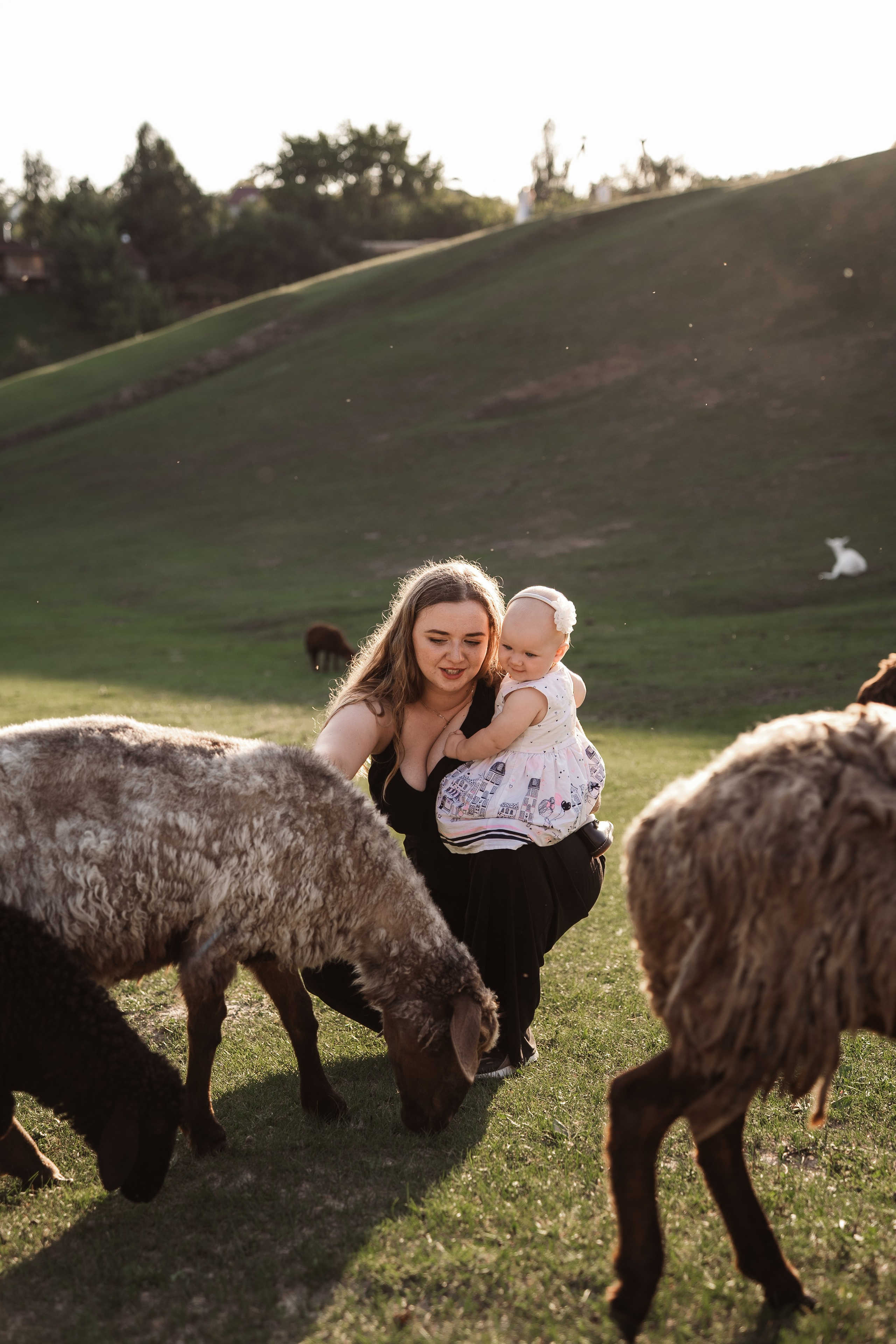 Святкування 1-го дня народження на овечій фермі. Family photographer in Kiev Natalia Shkavron