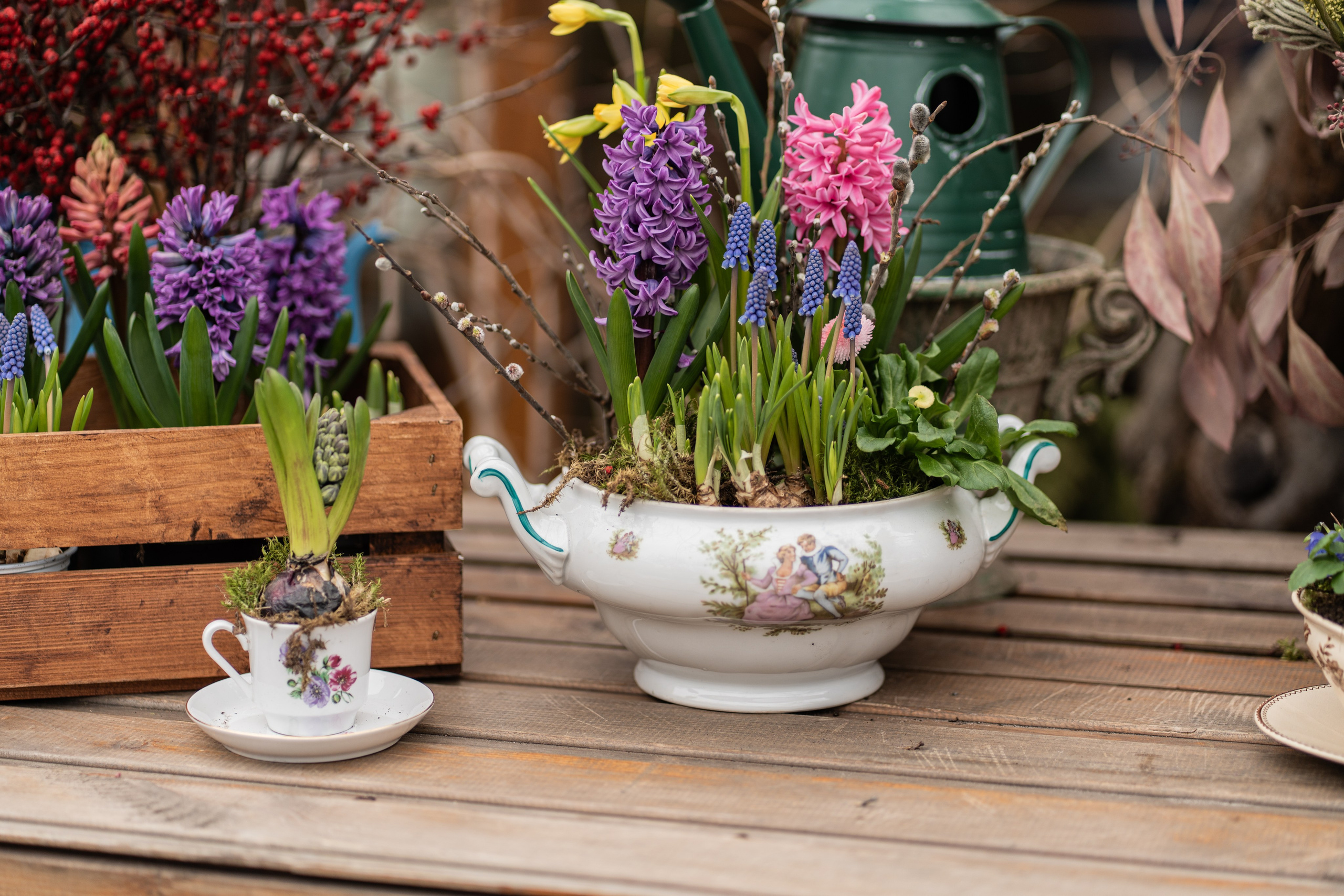 Весняні фотошпалери 2026. Сімейний фотограф Київ Наталія Шкаврон