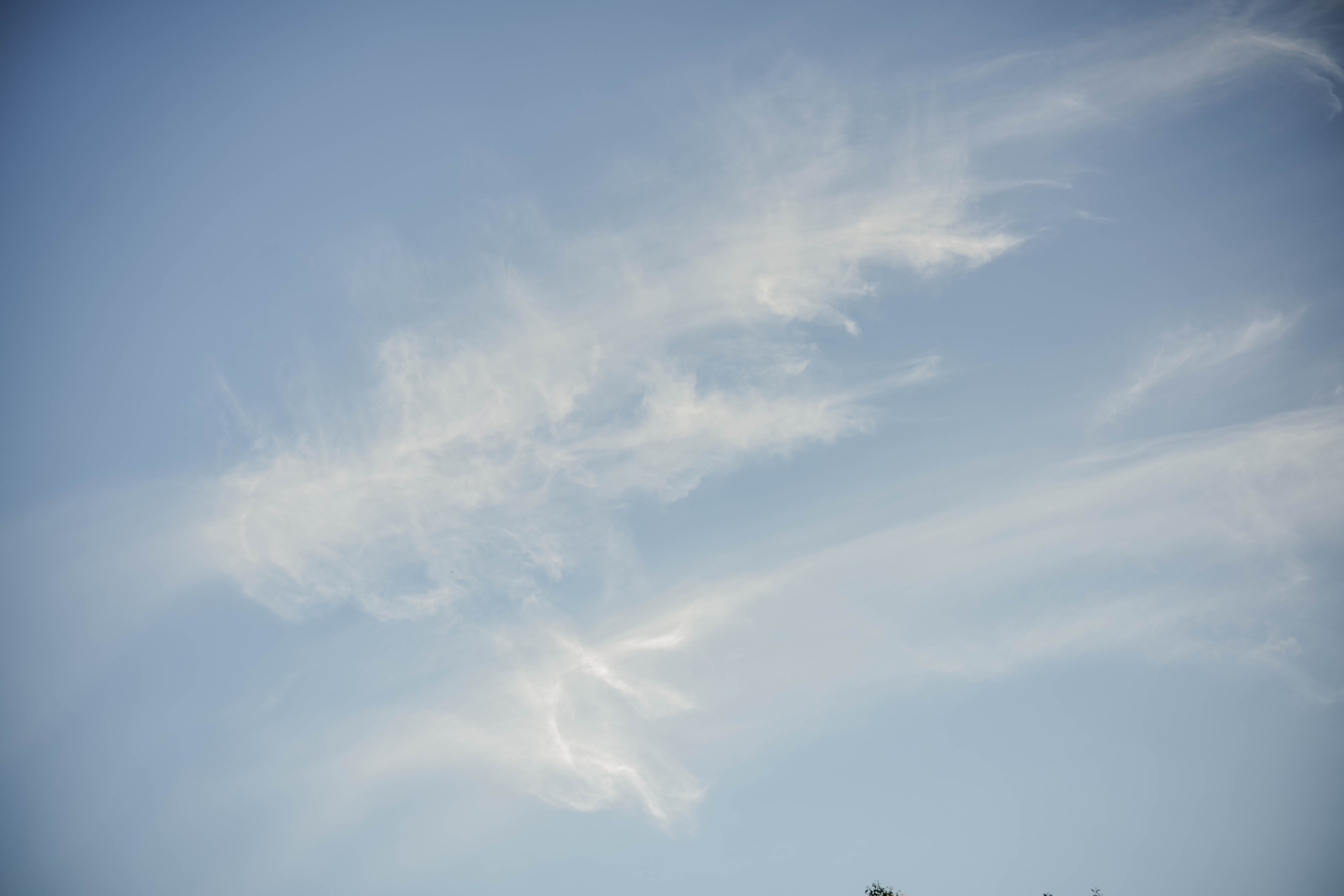 Бренд зйомка для Вікторії Енергопрактика. Сімейний фотограф Київ Наталія Шкаврон