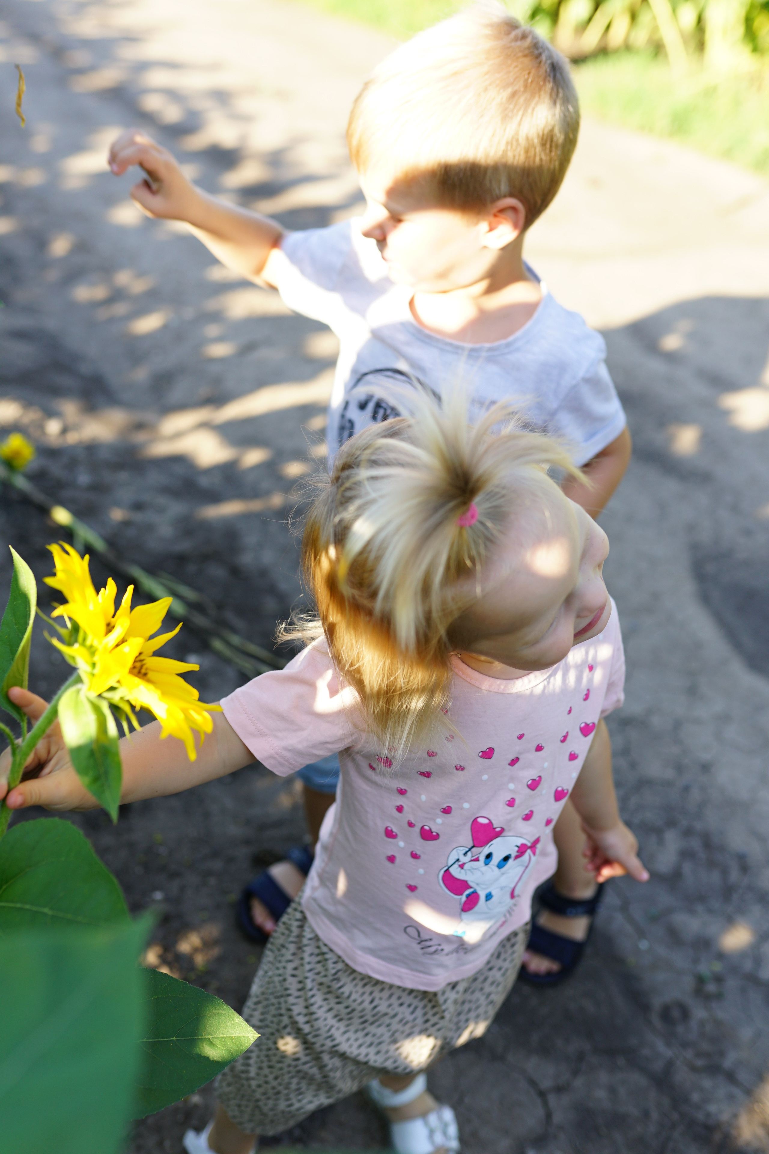 Сімейна фотосесія з кавунами. Family photographer in Kiev Natalia Shkavron