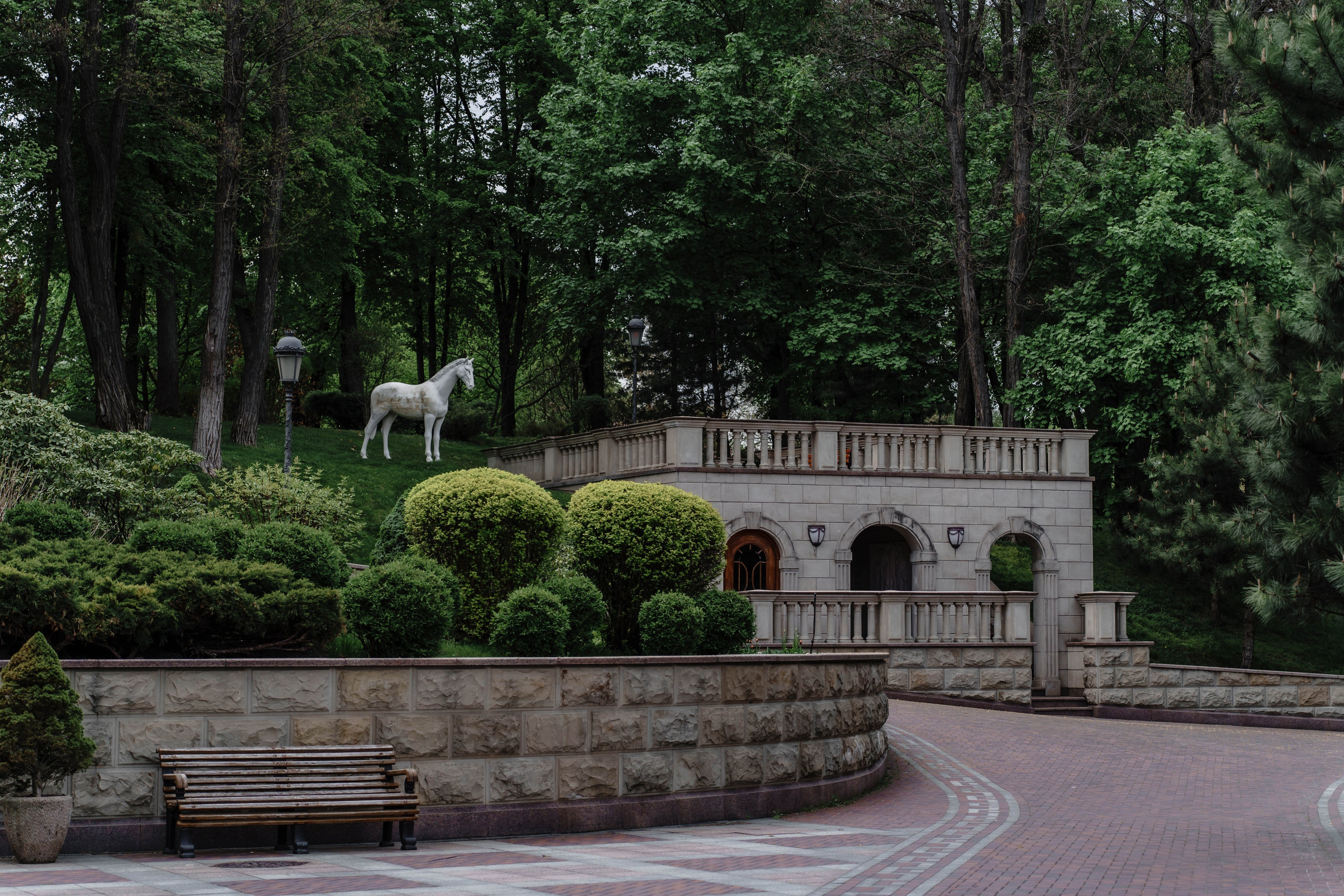 Фотосесія в сакурах. Family photographer in Kiev Natalia Shkavron