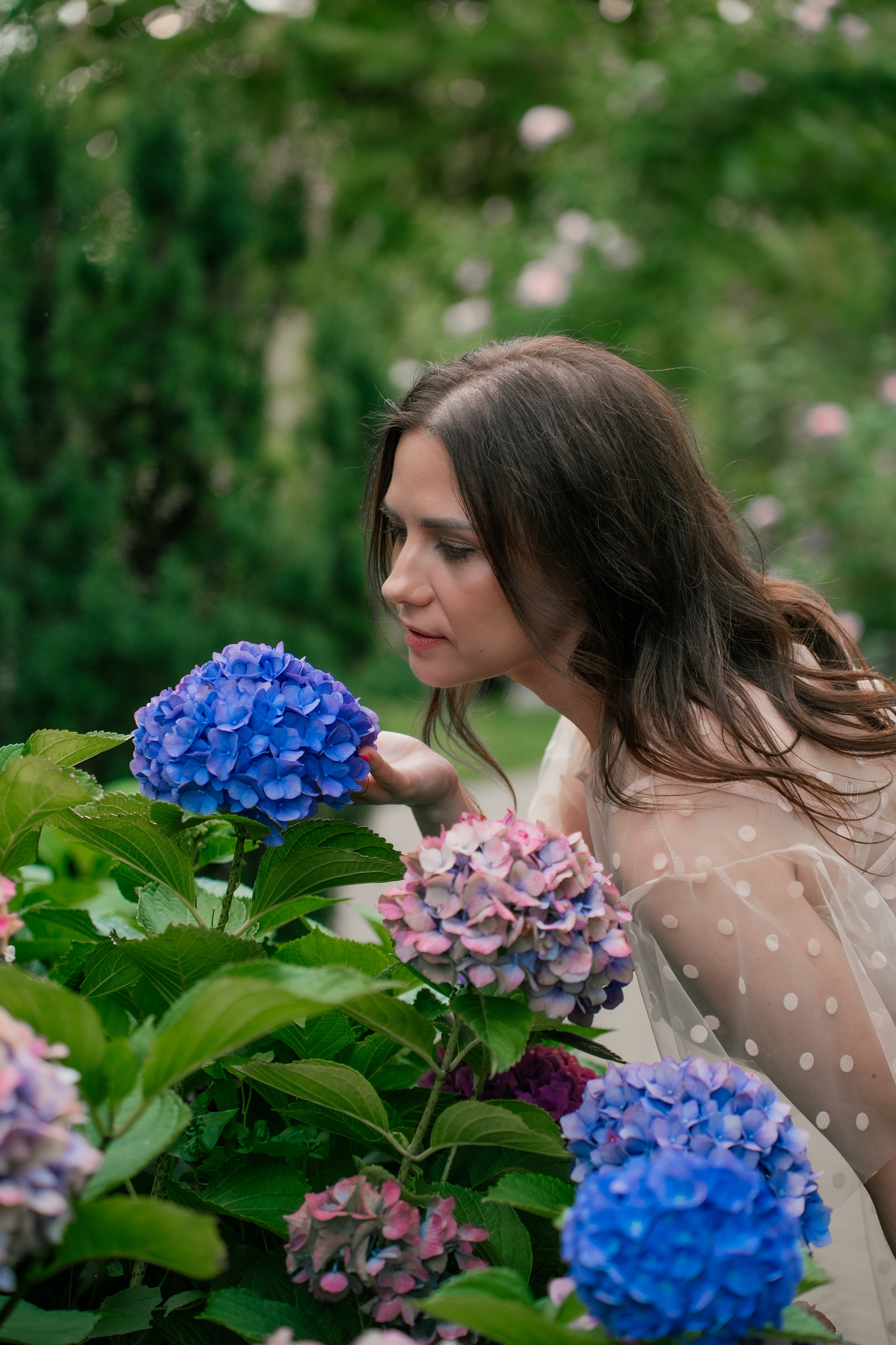 Фотосеся індивідуальна в гортензіях. Сімейний фотограф Київ Наталія Шкаврон
