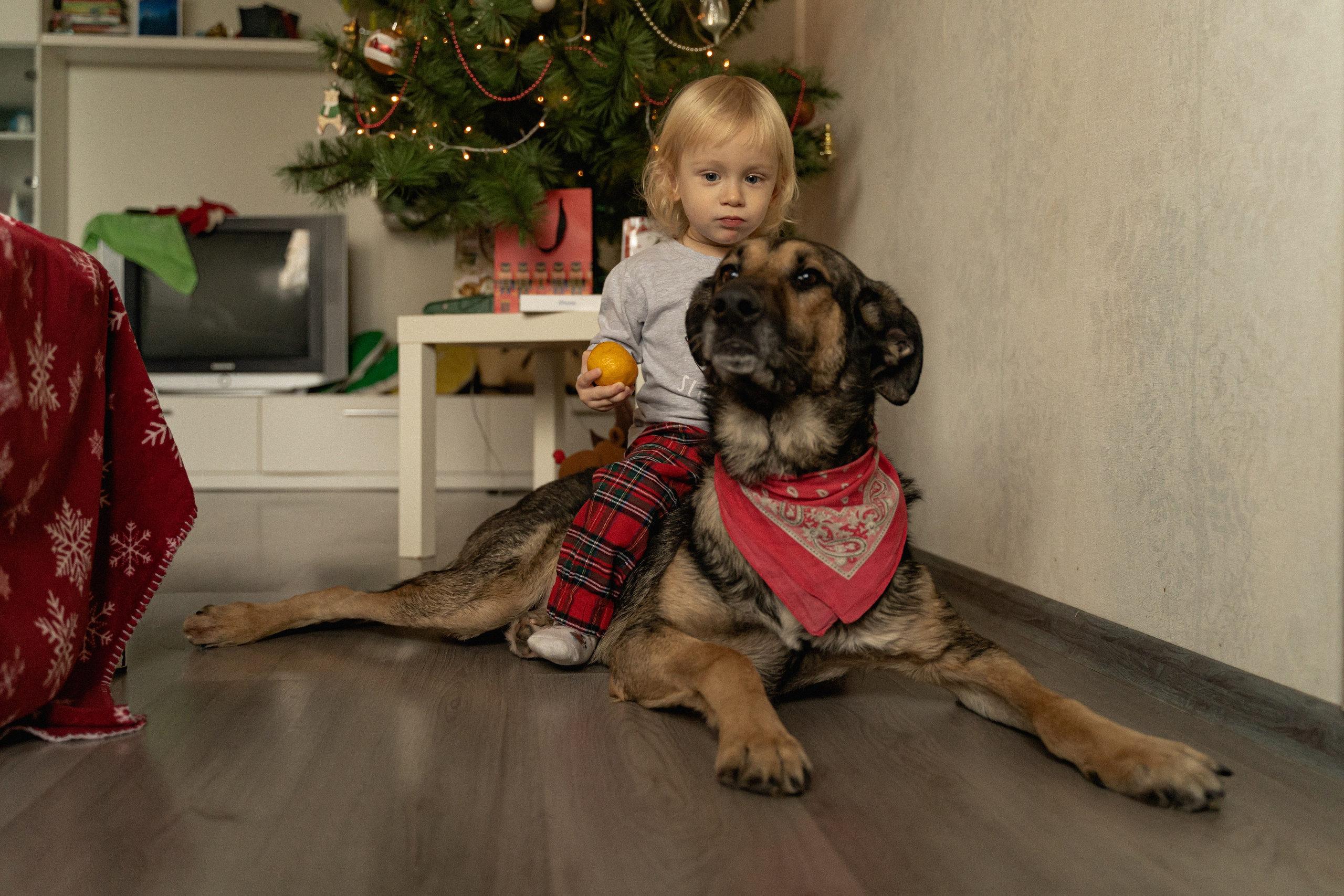 Новорічна сімейна фотосесія вдома. Сімейний фотограф Київ Наталія Шкаврон