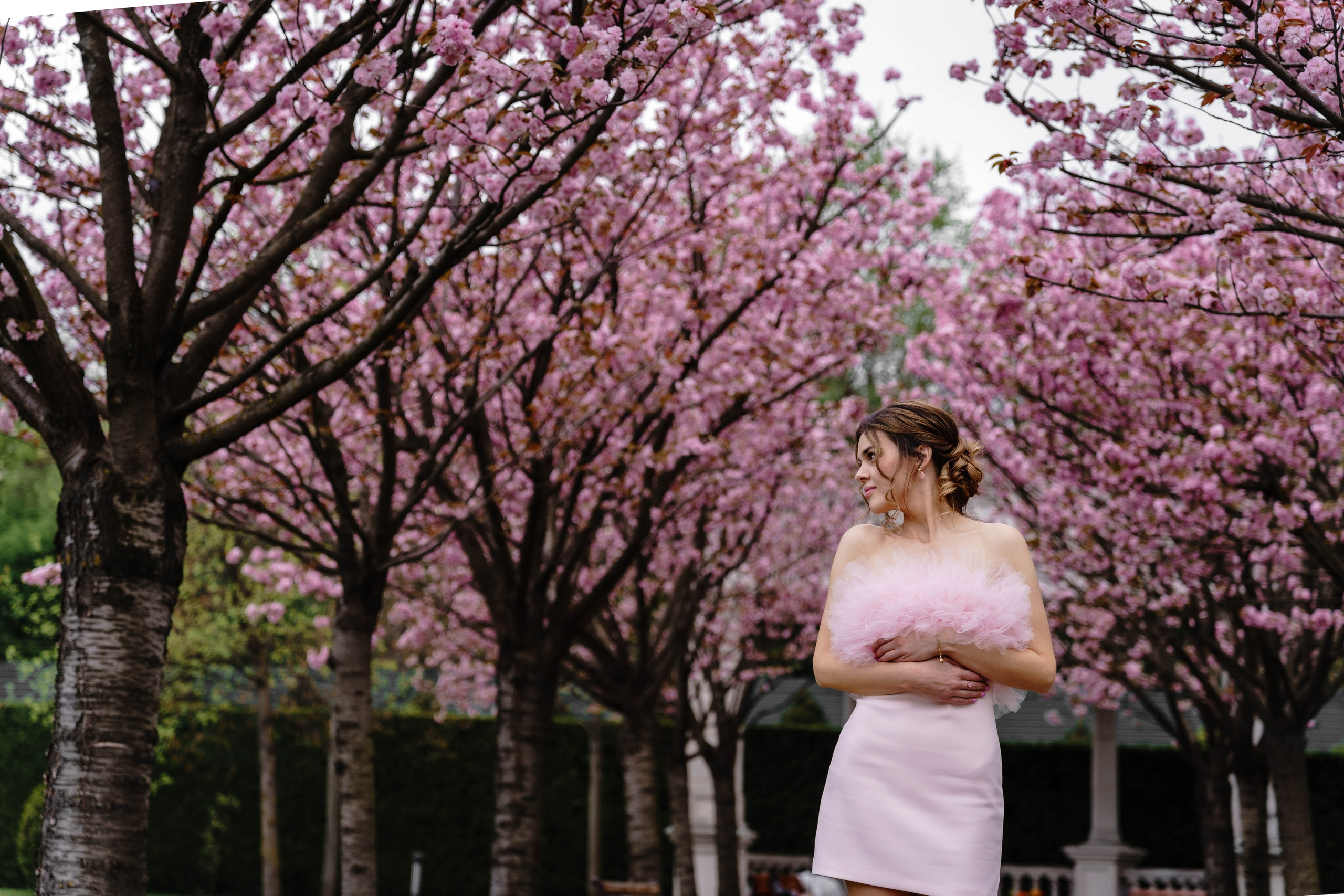 Фотосесія в сакурах. Family photographer in Kiev Natalia Shkavron