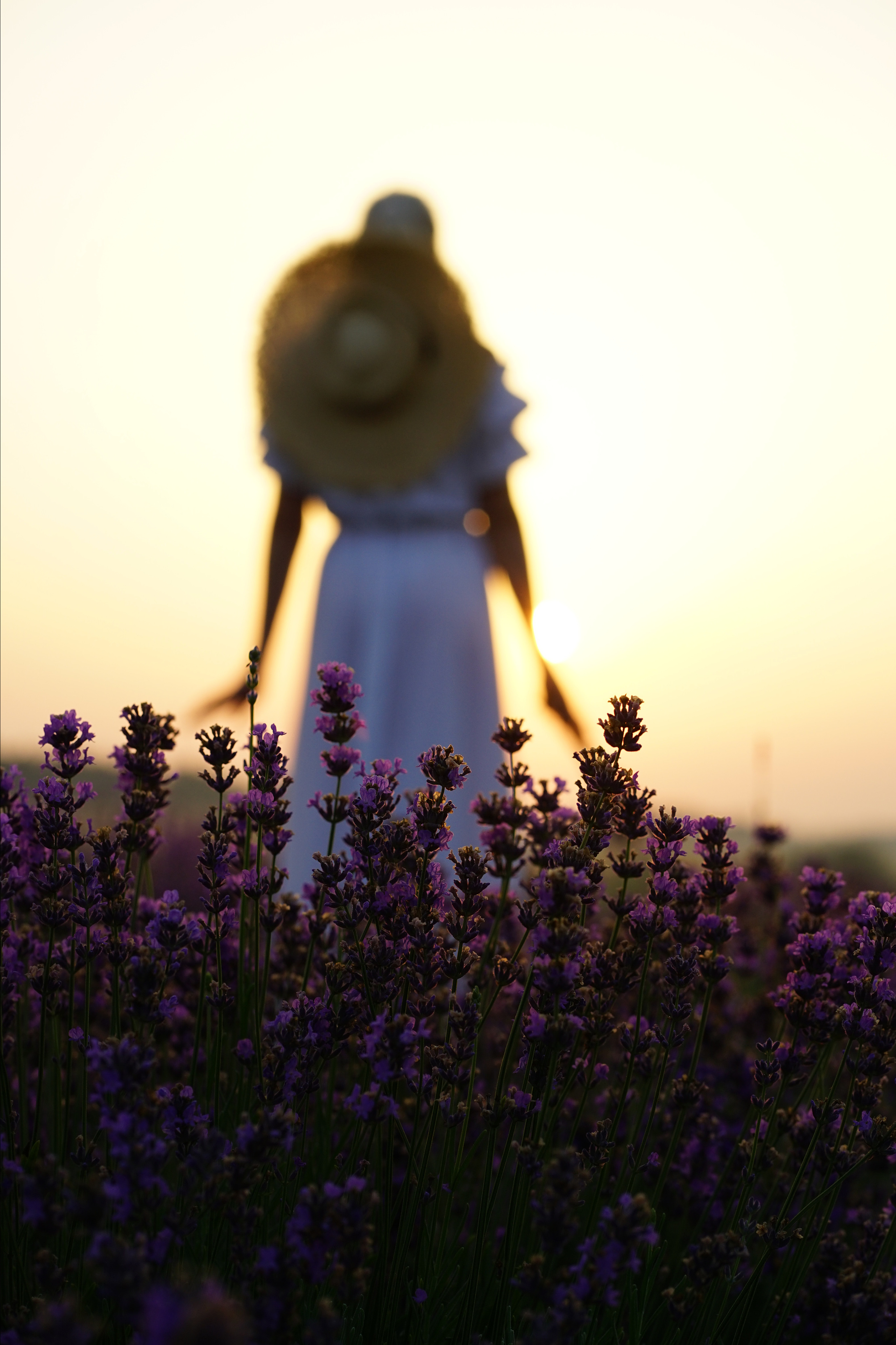 Фотопроєкт Лавандові історії в Городку