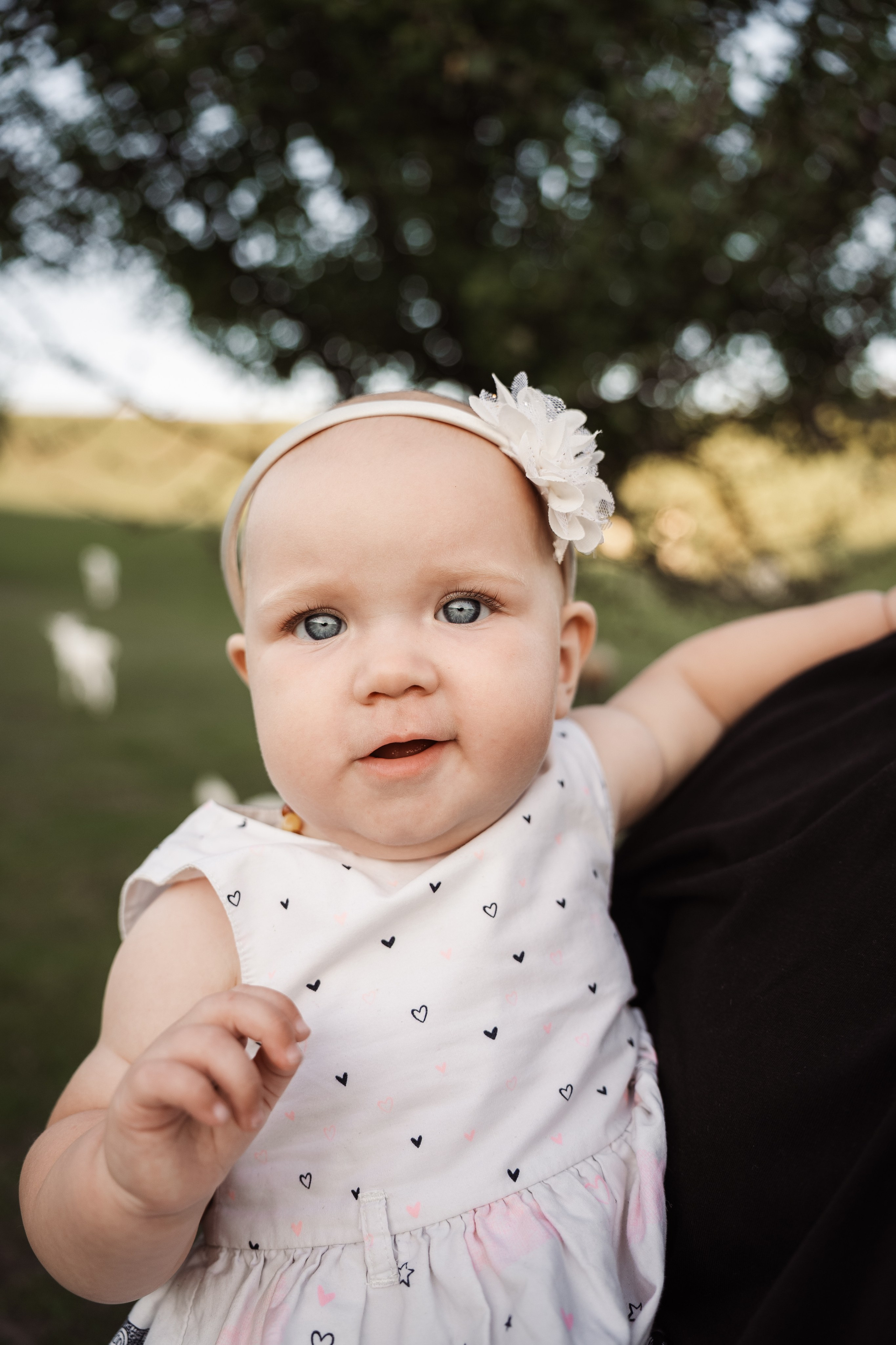 Святкування 1-го дня народження на овечій фермі. Family photographer in Kiev Natalia Shkavron