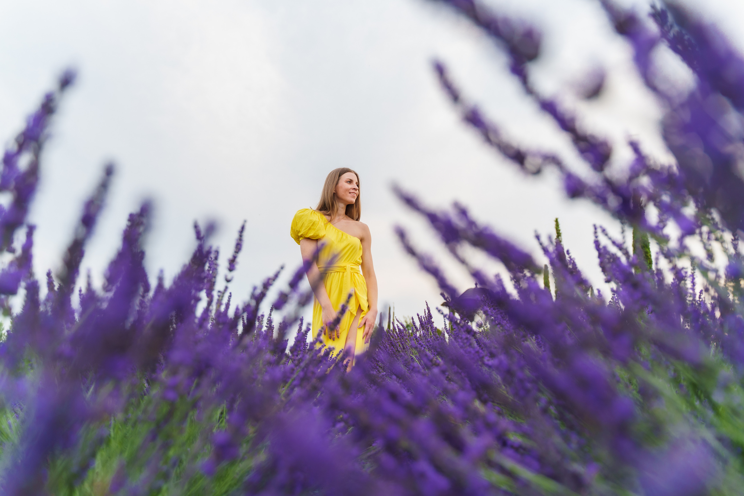 Фотосесія в лаванді у Добропарку. Family photographer in Kiev Natalia Shkavron