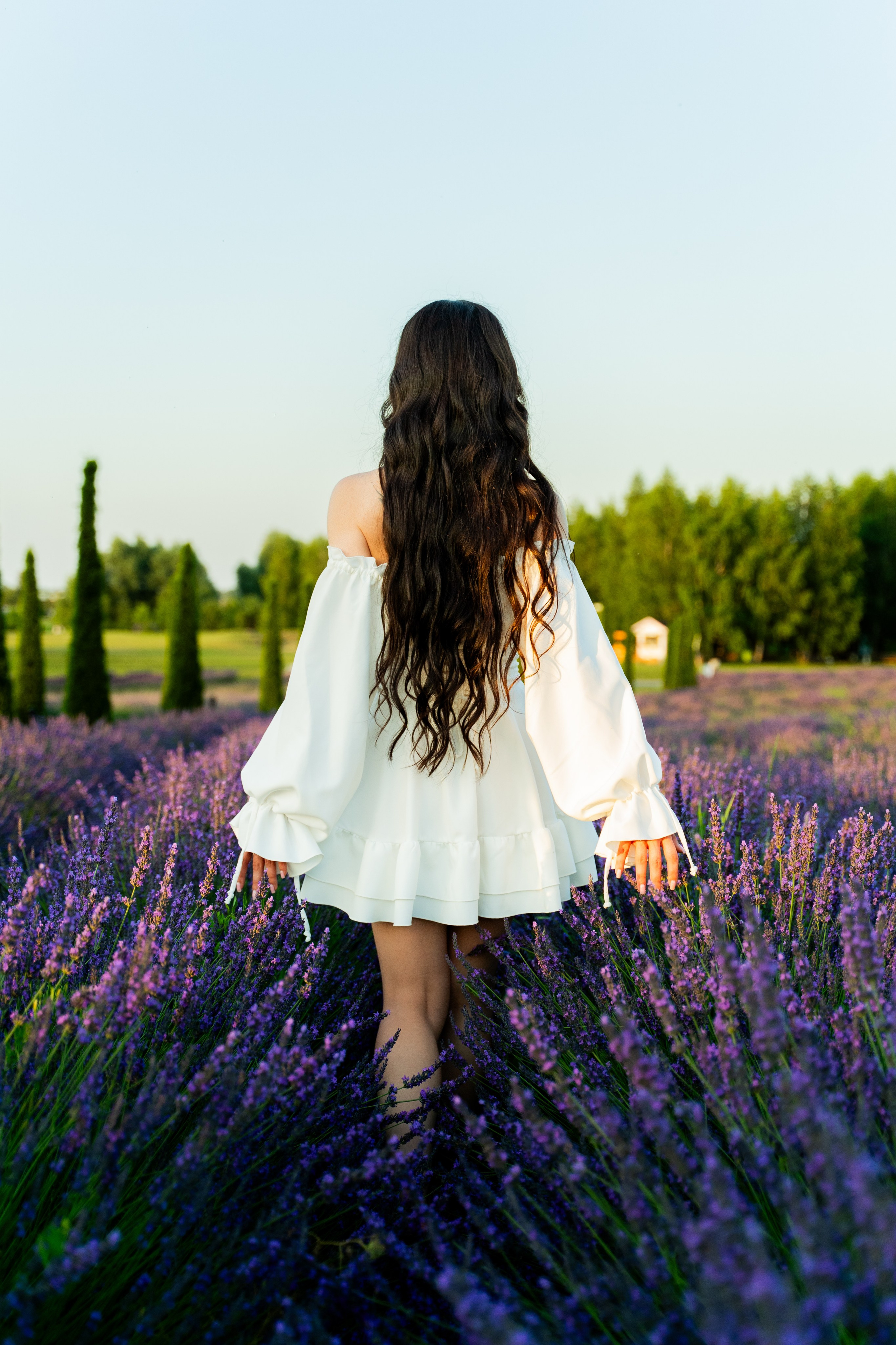індивідуальна фотосесія, фотосесія в лаванді, фотограф київ,  Фотосесія в лавандовому полі, Фотосесія на лавандовому полі в Україні, Сертификат на фотосессию, Фотосесія Київ під ключ, Сімейна фотосесія в лаванді, лаванда фото, девушка в лавандовом поле, девушка в лавандовом поле фото, фотосессия фото в лавандовом поле, прованс фотосессия фото в лавандовом поле, фото в лаванде идеи, фото в лаванді, фотосесія у лавандовому полі, київський прованс, 