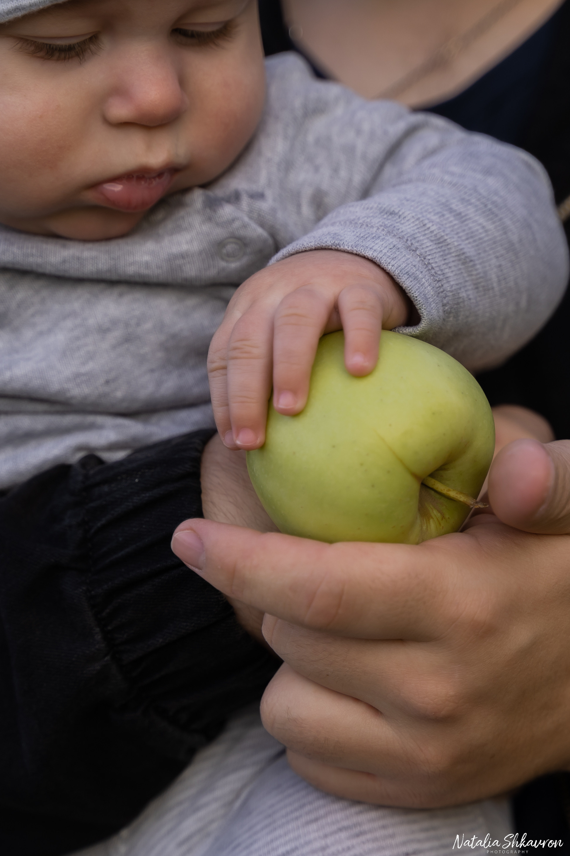 Сімейна фотосесія в яблуневому саду. Сімейний фотограф Київ Наталія Шкаврон