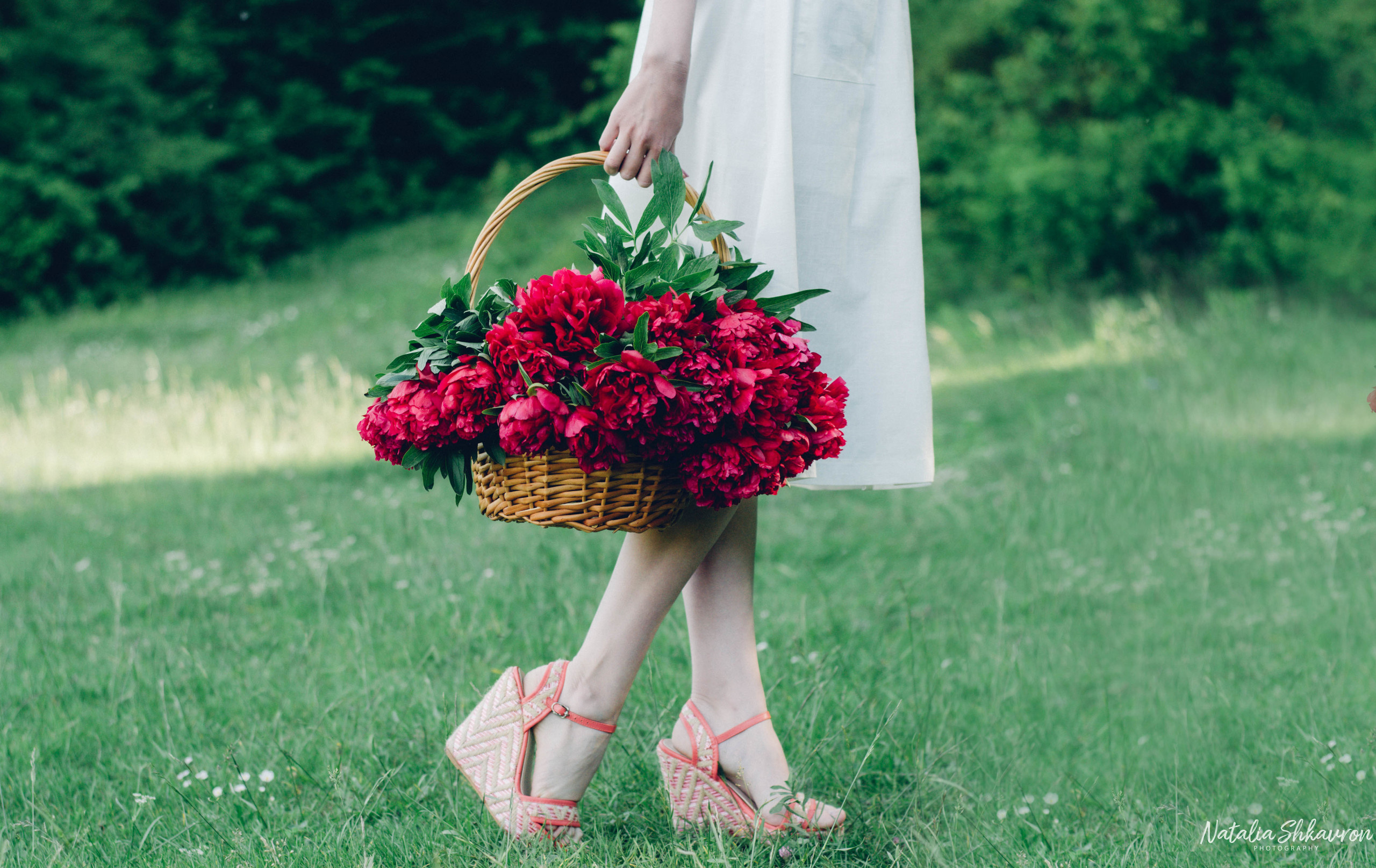 фотосессия в пионах киев, фотосесія в піонах, фотосессия с пионами на природе, фото с пионами девушка,фотосесія в піонах київ, фотограф київ, індивідуальна фотосесія влітку,