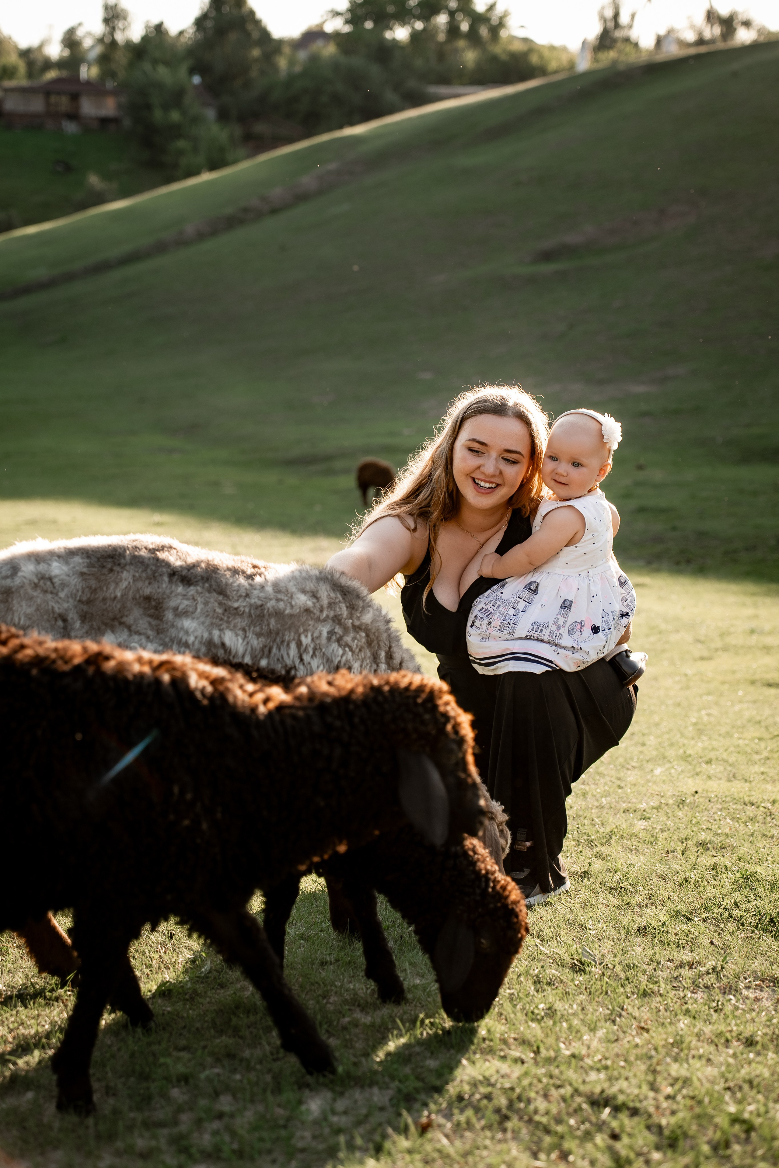 Сімейна фотосесія на овечій фермі. Сімейний фотограф Київ Наталія Шкаврон