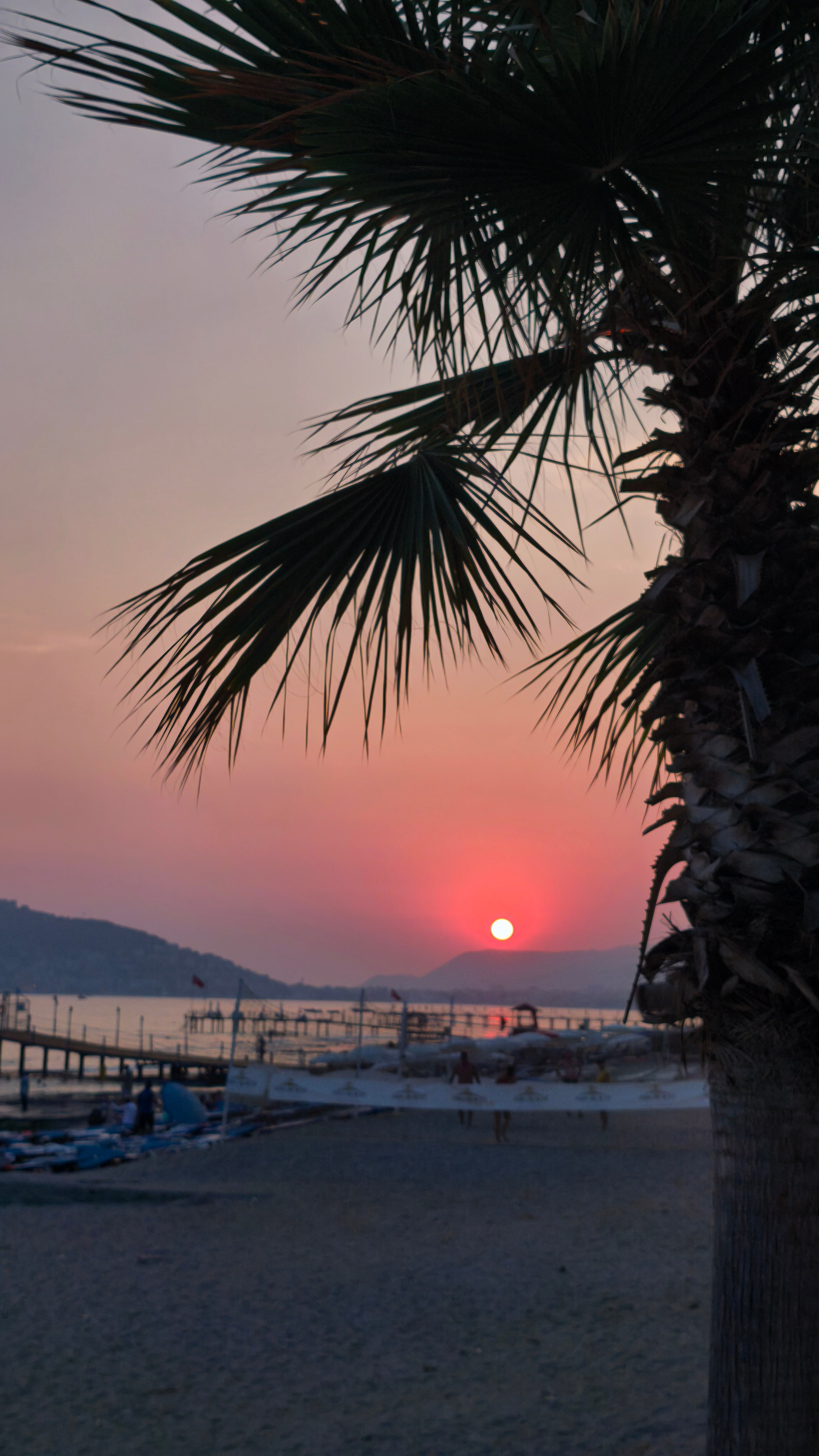 Морські шпалери 2025. Сімейний фотограф Київ Наталія Шкаврон