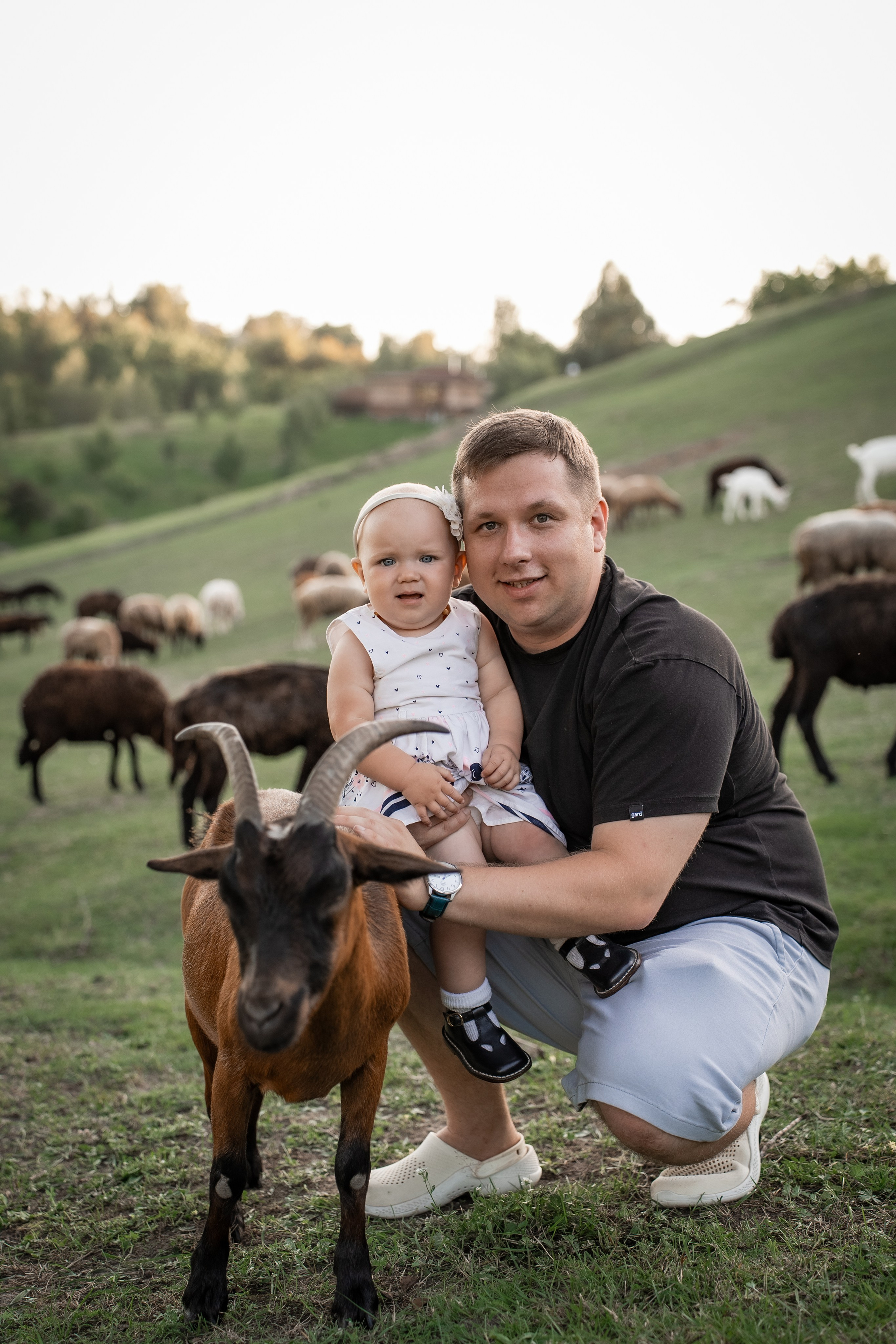 Сімейна фотосесія на овечій фермі. Сімейний фотограф Київ Наталія Шкаврон