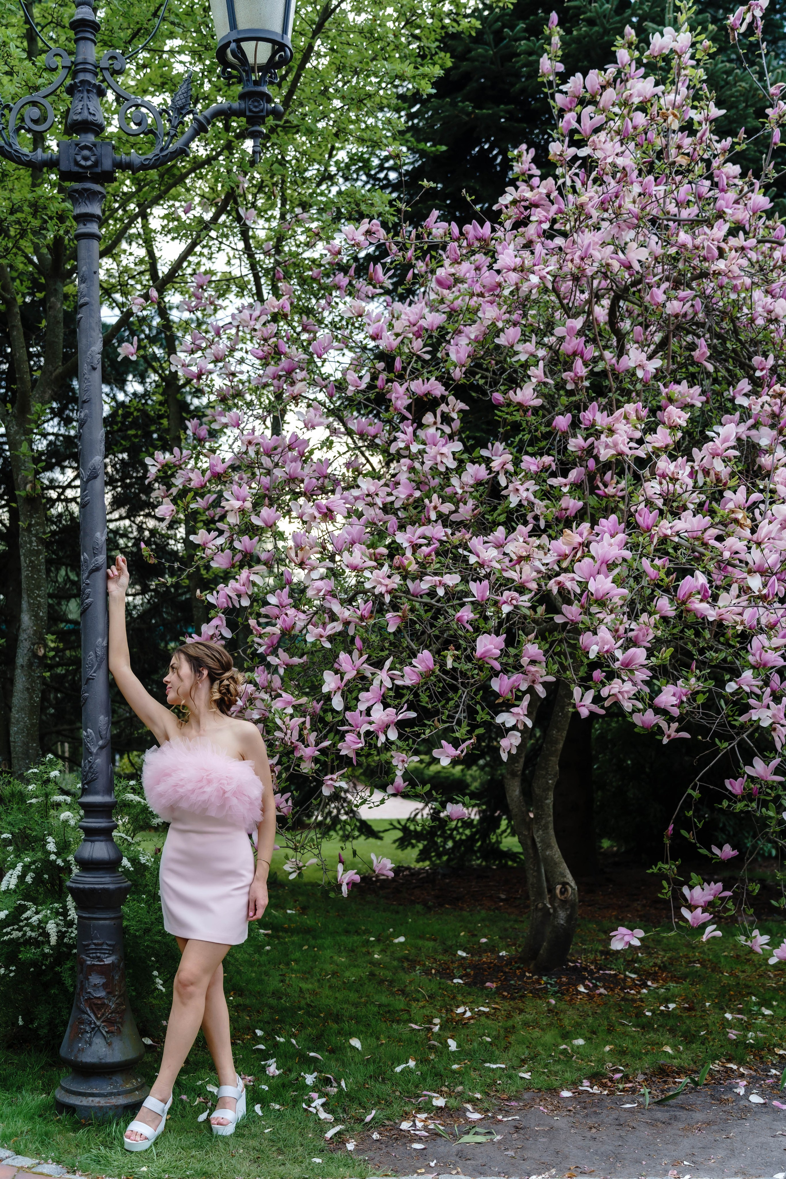 Фотосесія в магноліях. Сімейний фотограф Київ Наталія Шкаврон