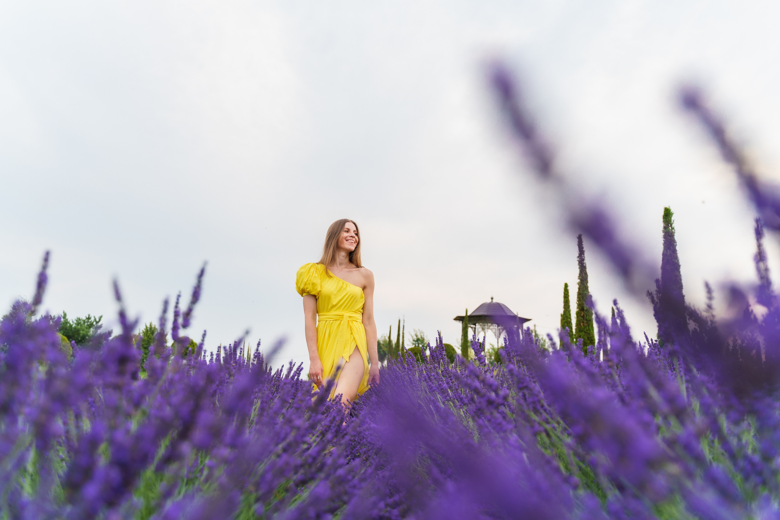 Фотосесія в лаванді у Добропарку. Family photographer in Kiev Natalia Shkavron