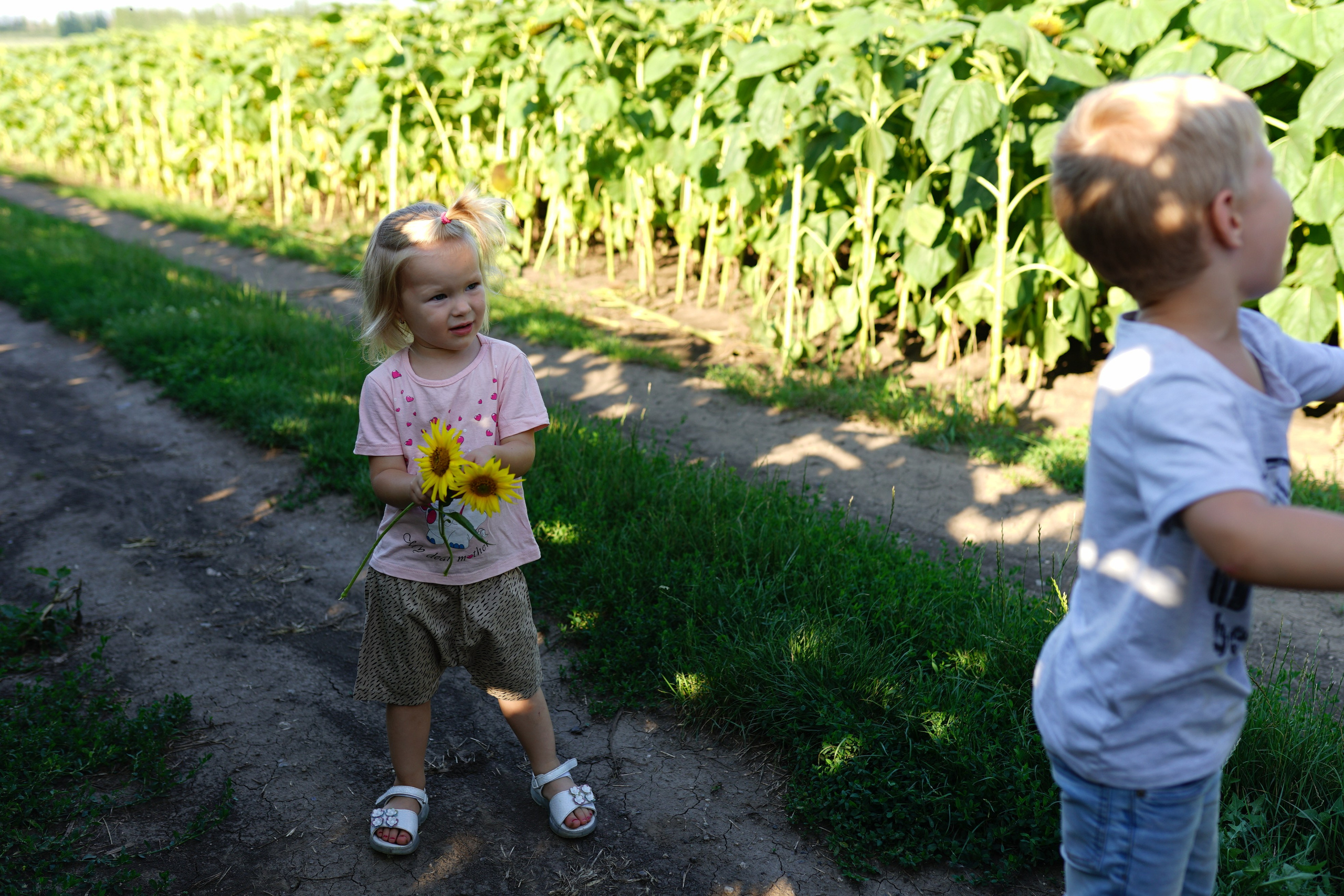 Сімейна фотосесія з кавунами. Family photographer in Kiev Natalia Shkavron