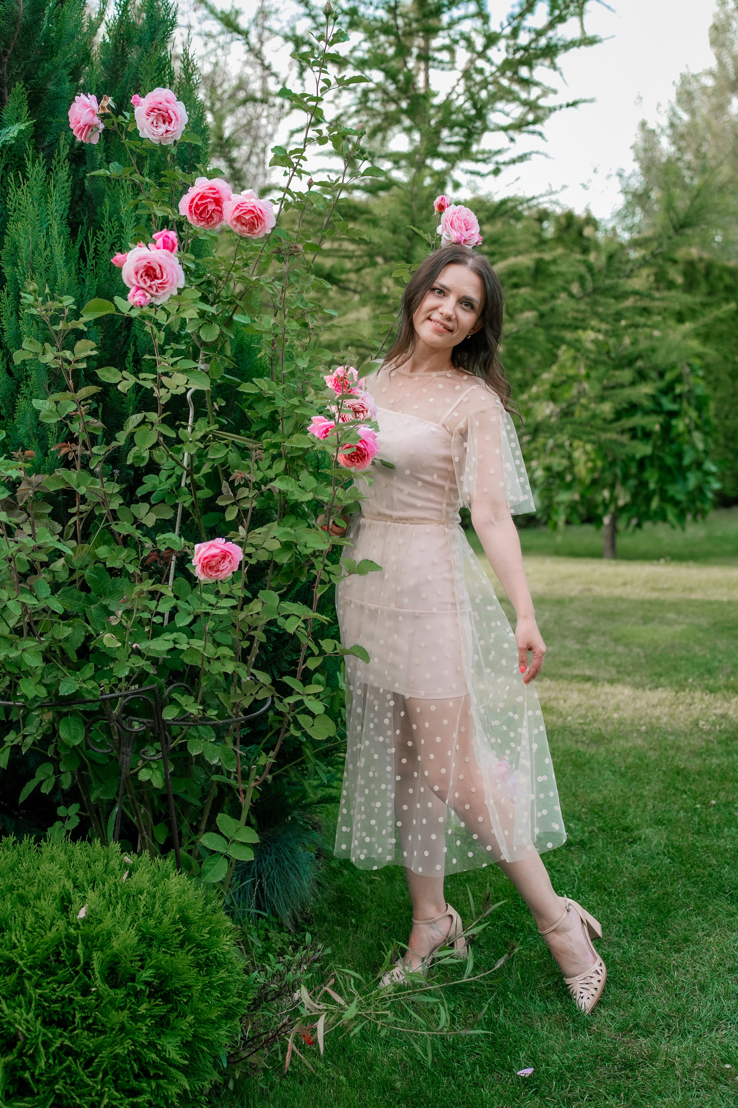 Фотосеся індивідуальна в гортензіях. Сімейний фотограф Київ Наталія Шкаврон