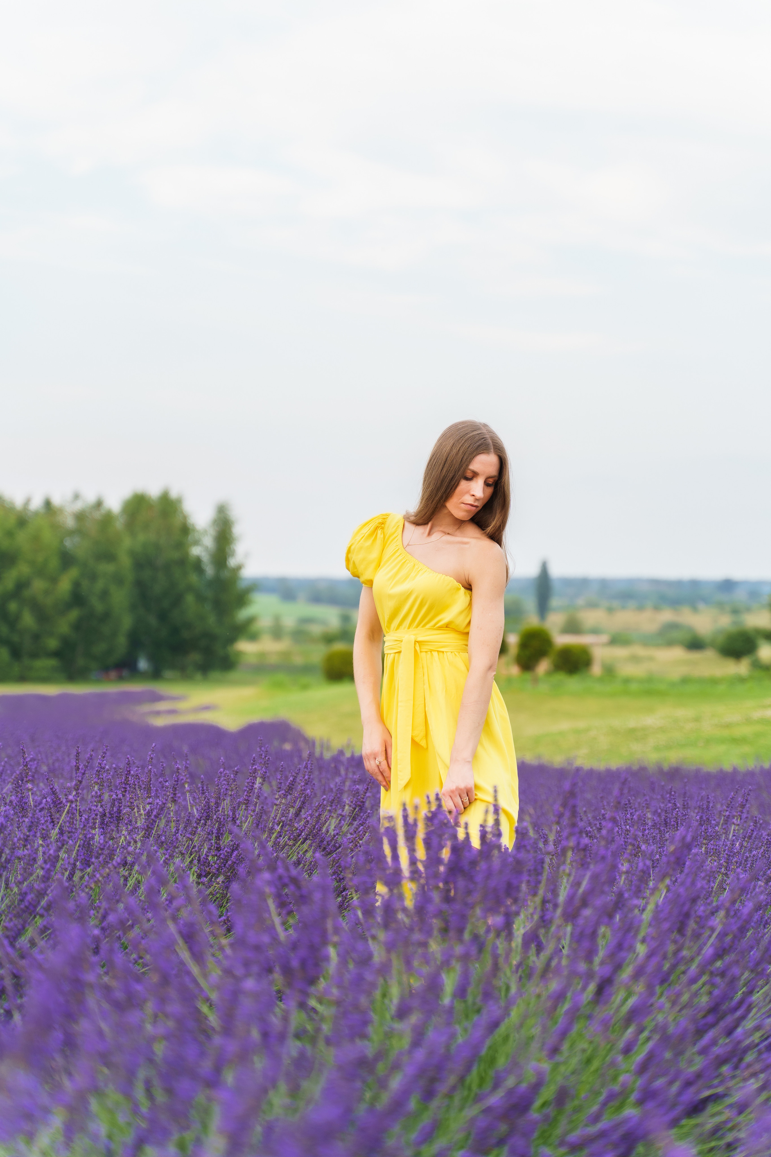 Фотосесія в лаванді у Добропарку. Family photographer in Kiev Natalia Shkavron