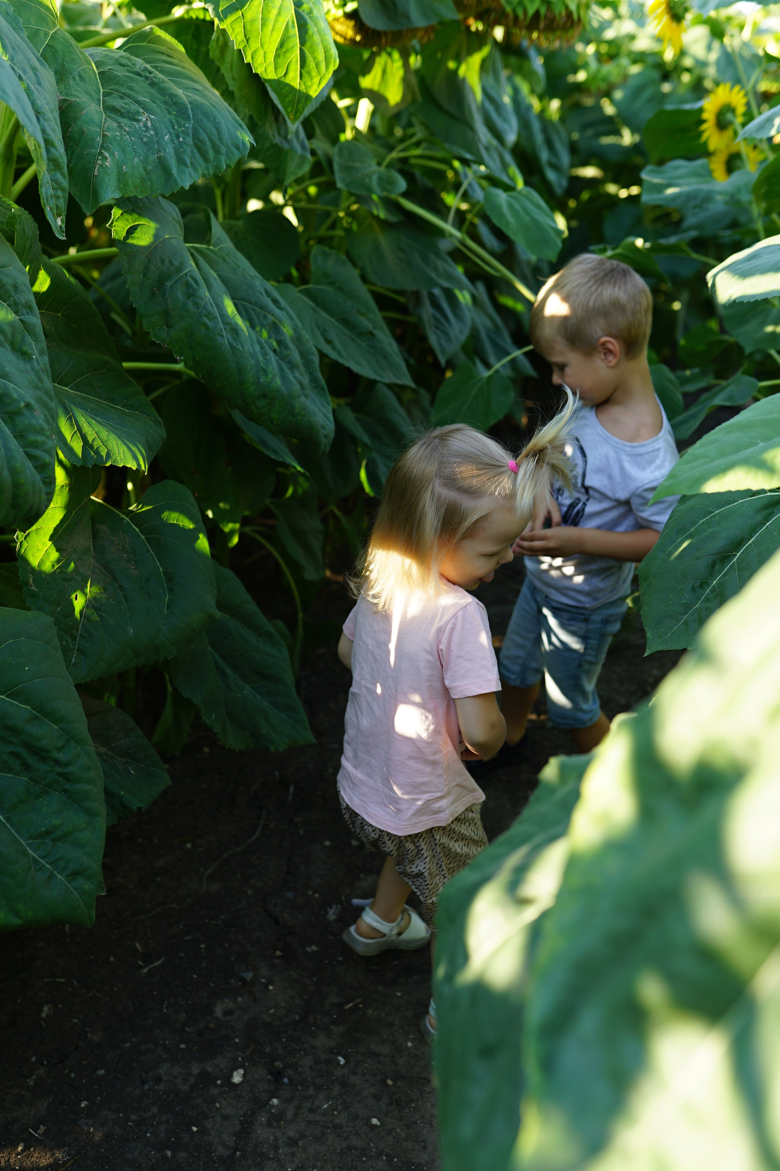 Сімейна фотосесія з кавунами. Family photographer in Kiev Natalia Shkavron