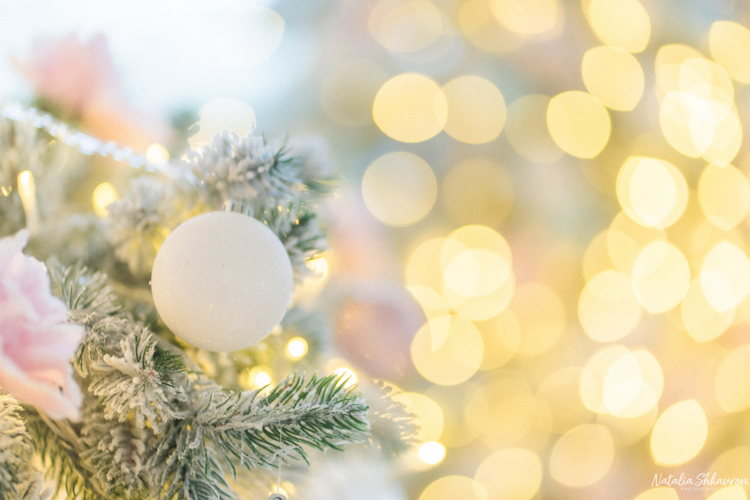 Як правильно підготуватися до Новорічної фотосесії. Сімейний фотограф Київ Наталія Шкаврон