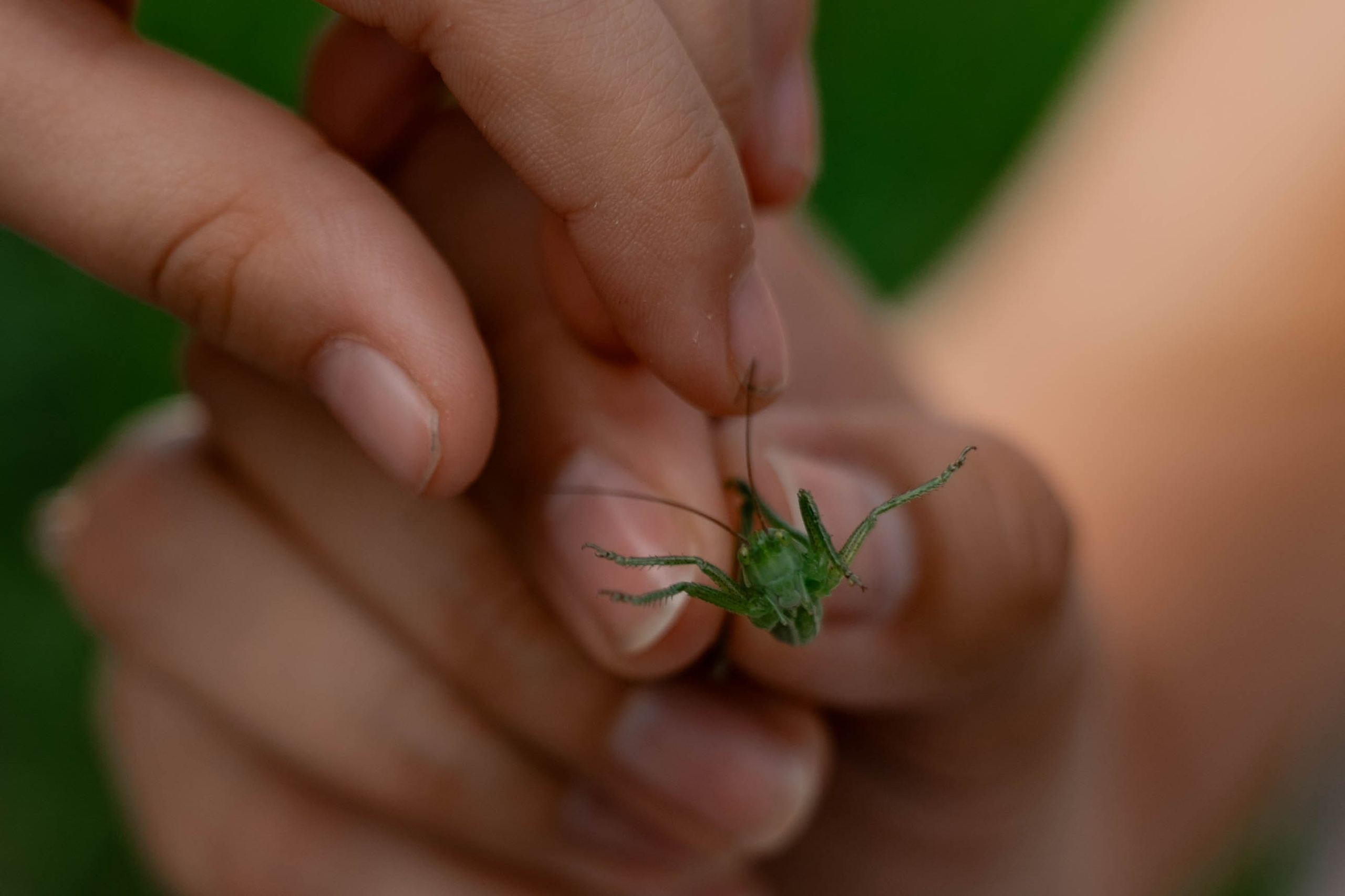 Сімейна фотосесія в Пирогово мами з двома донями. Сімейний фотограф Київ Наталія Шкаврон