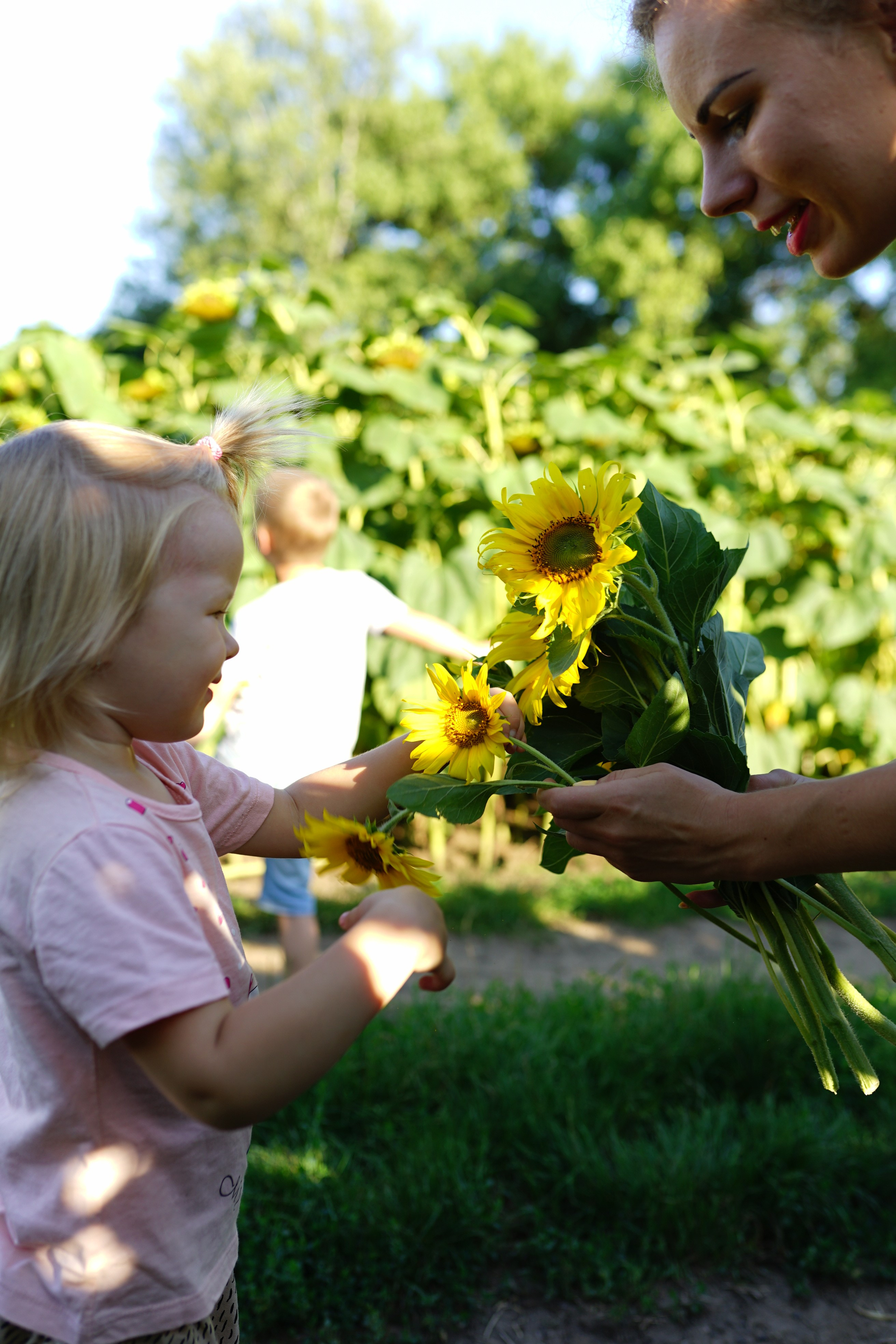 Сімейна фотосесія з кавунами. Family photographer in Kiev Natalia Shkavron