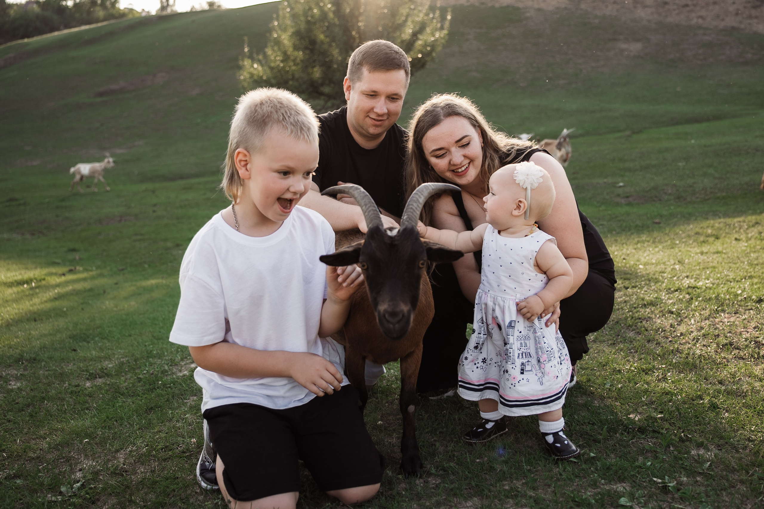 Святкування 1-го дня народження на овечій фермі. Family photographer in Kiev Natalia Shkavron