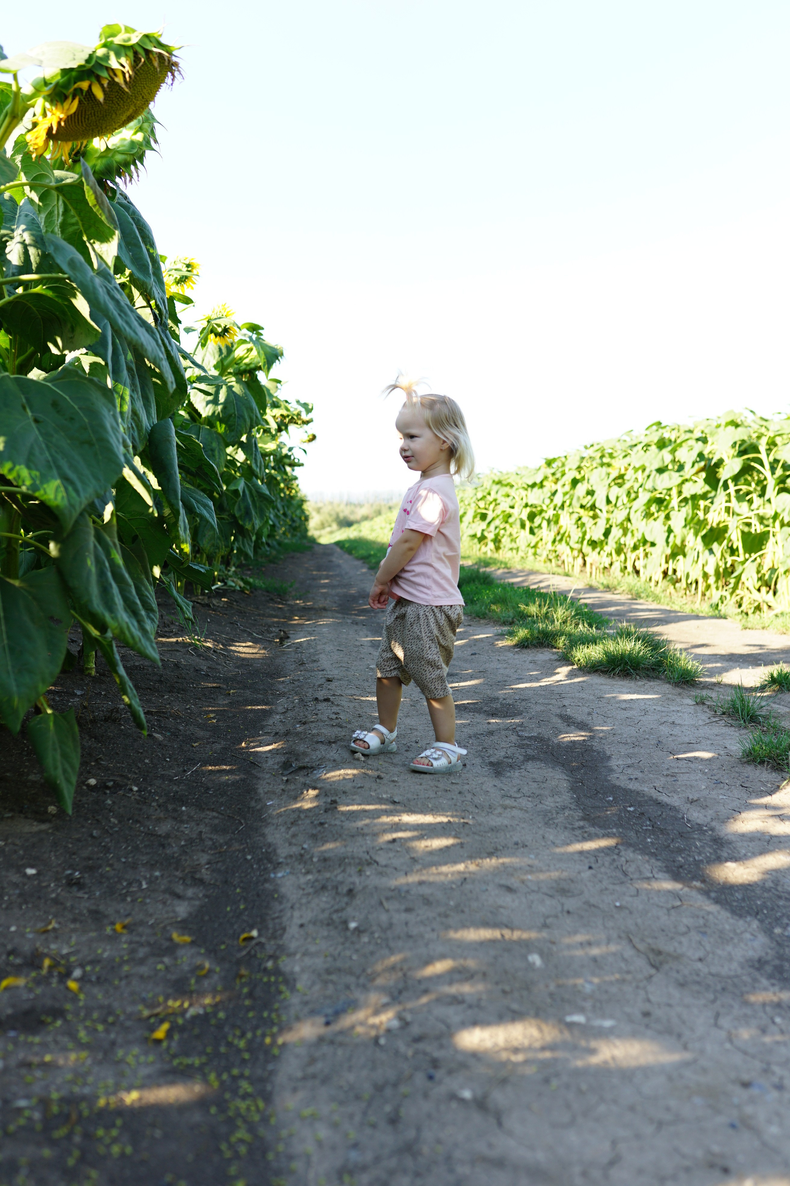 Сімейна фотосесія з кавунами. Family photographer in Kiev Natalia Shkavron