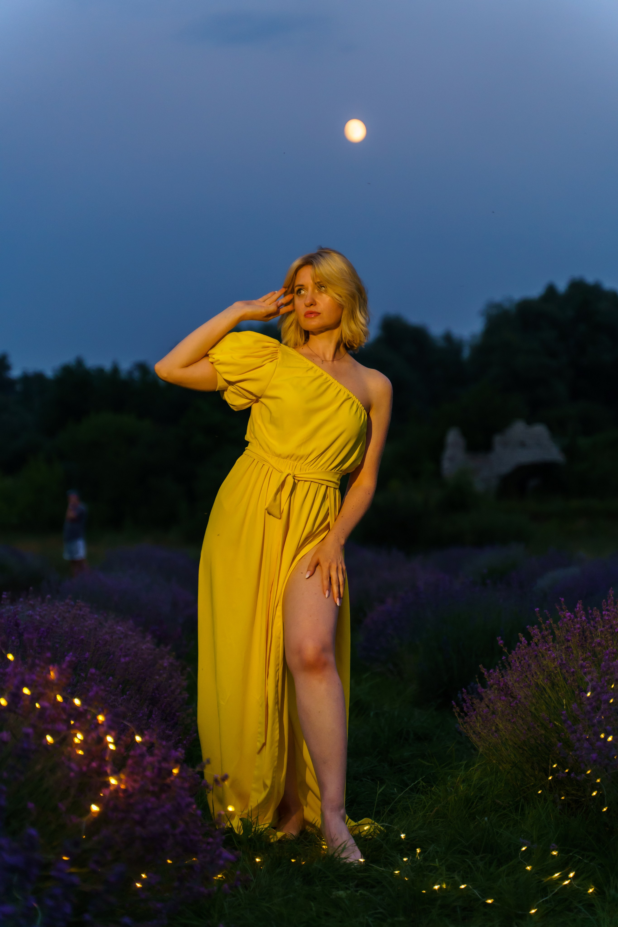 лавандове поле заставка