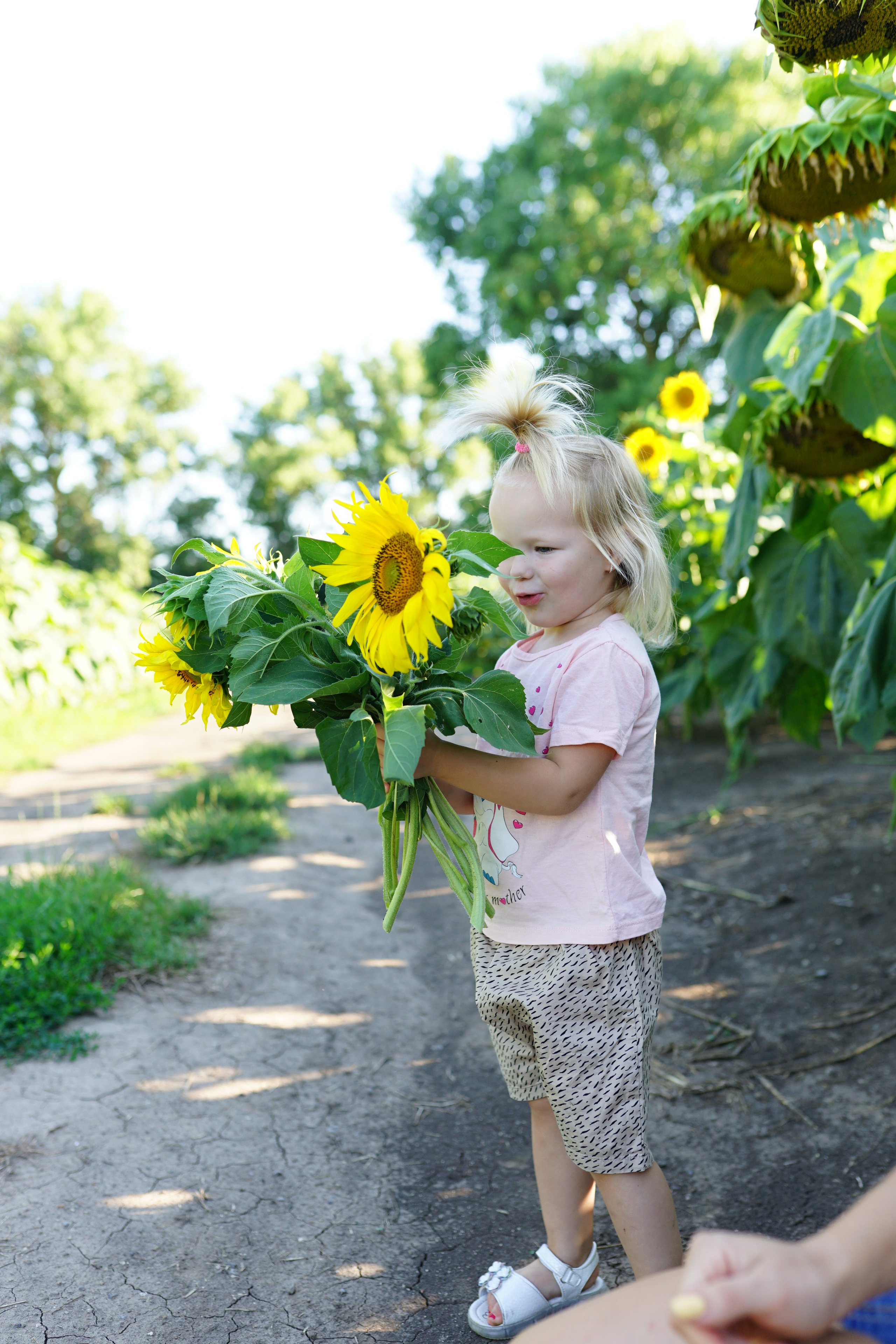 Сімейна фотосесія з кавунами. Family photographer in Kiev Natalia Shkavron