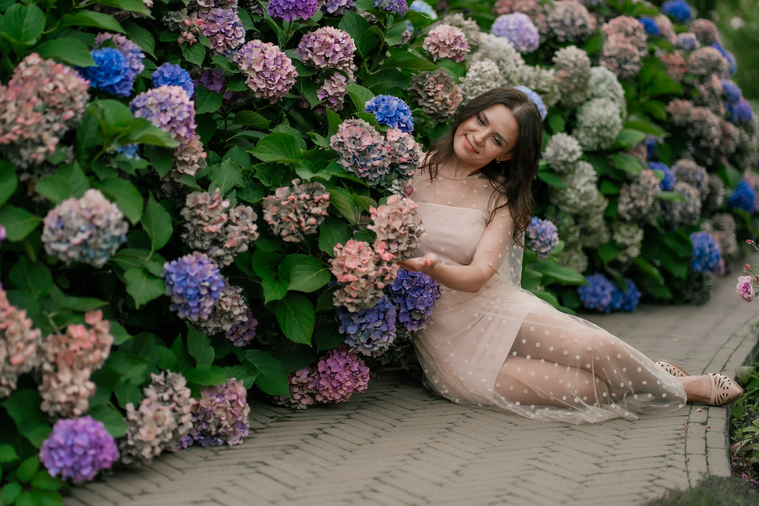 Фотосеся індивідуальна в гортензіях. Сімейний фотограф Київ Наталія Шкаврон