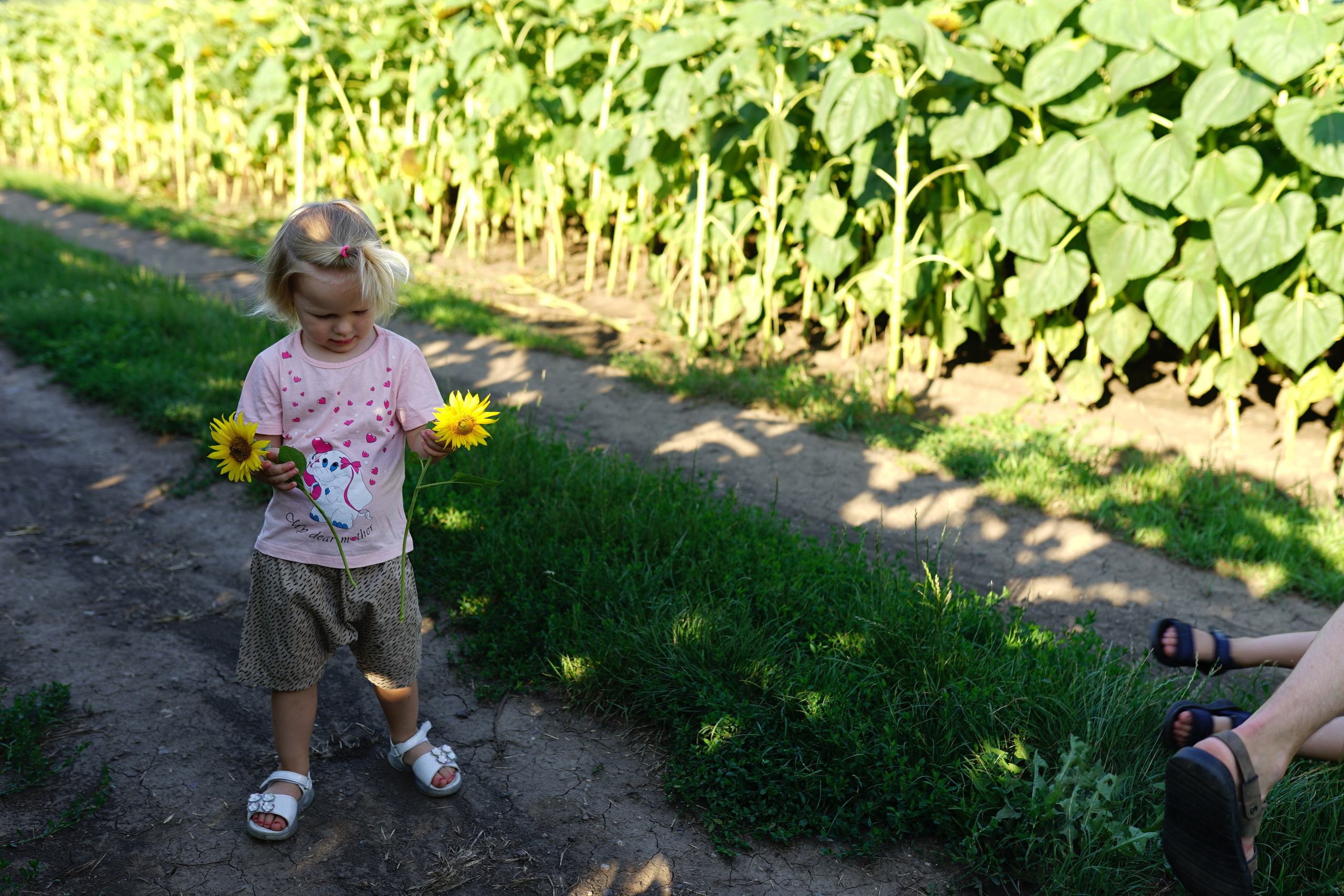Сімейна фотосесія з кавунами. Family photographer in Kiev Natalia Shkavron
