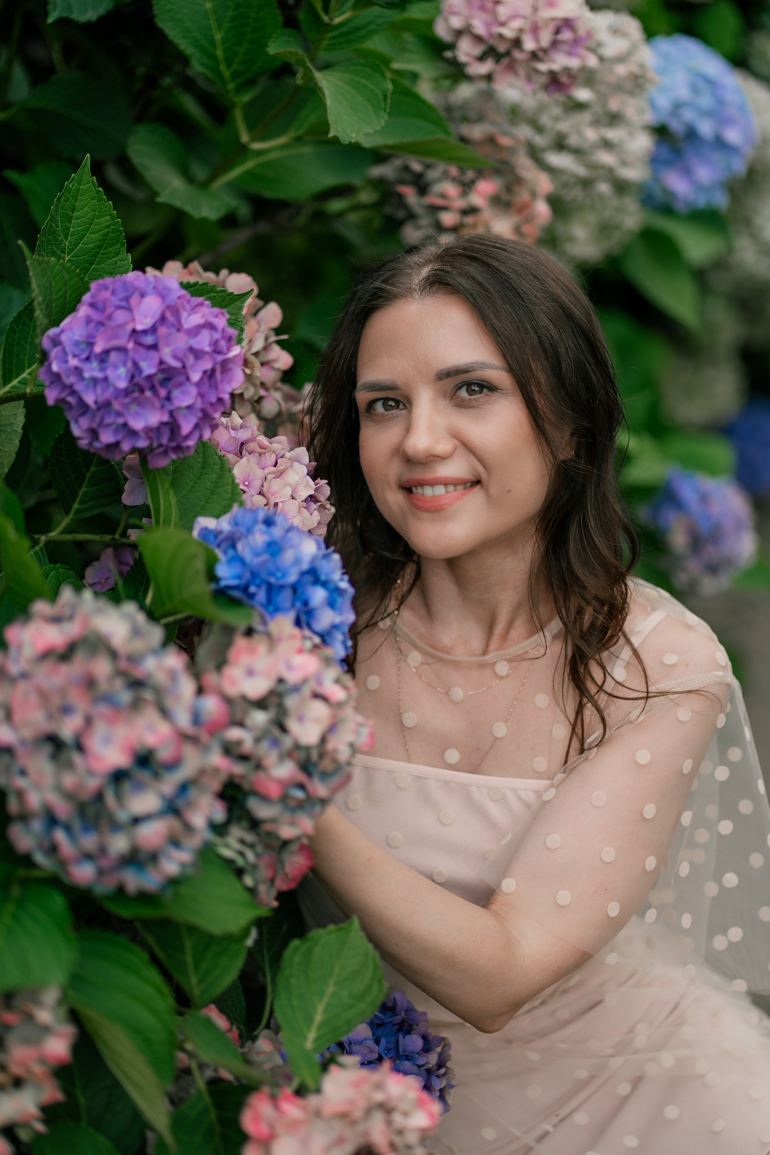Фотосеся індивідуальна в гортензіях. Сімейний фотограф Київ Наталія Шкаврон