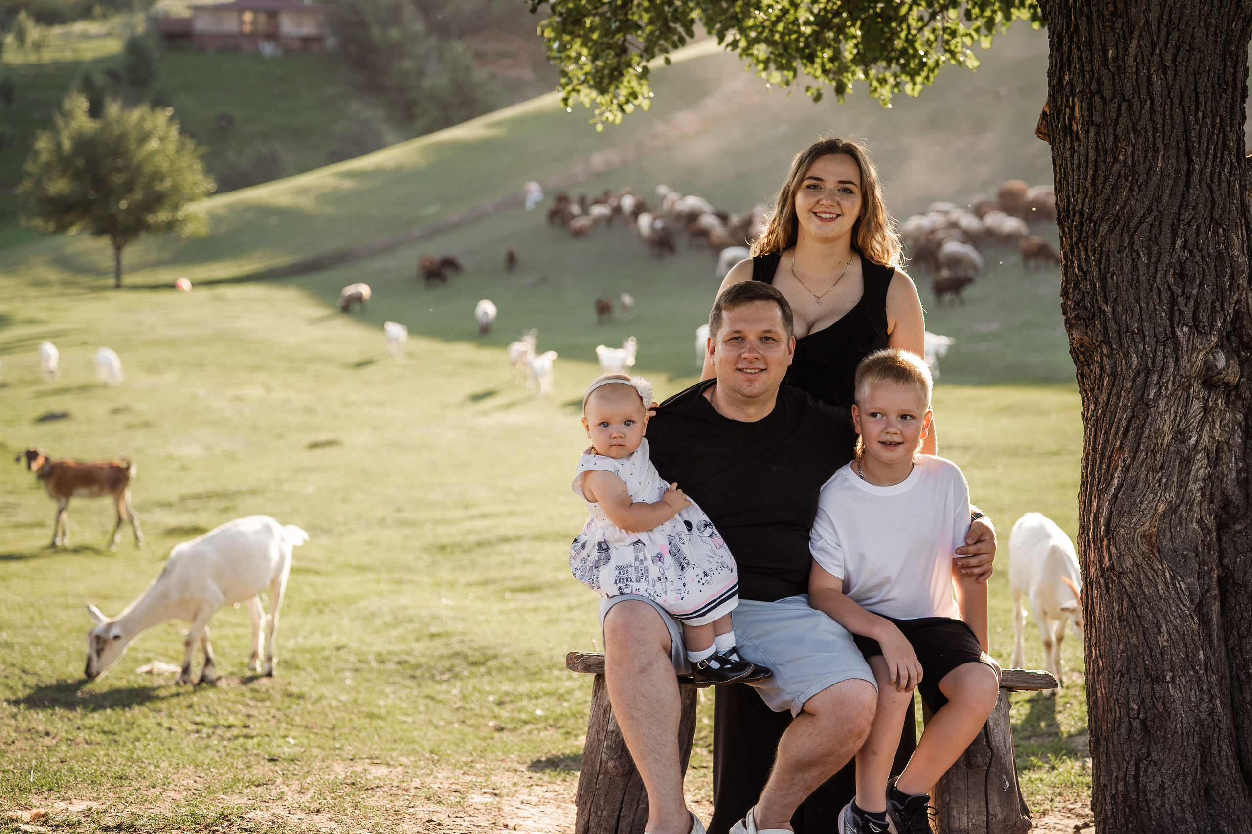 Святкування 1-го дня народження на овечій фермі. Family photographer in Kiev Natalia Shkavron