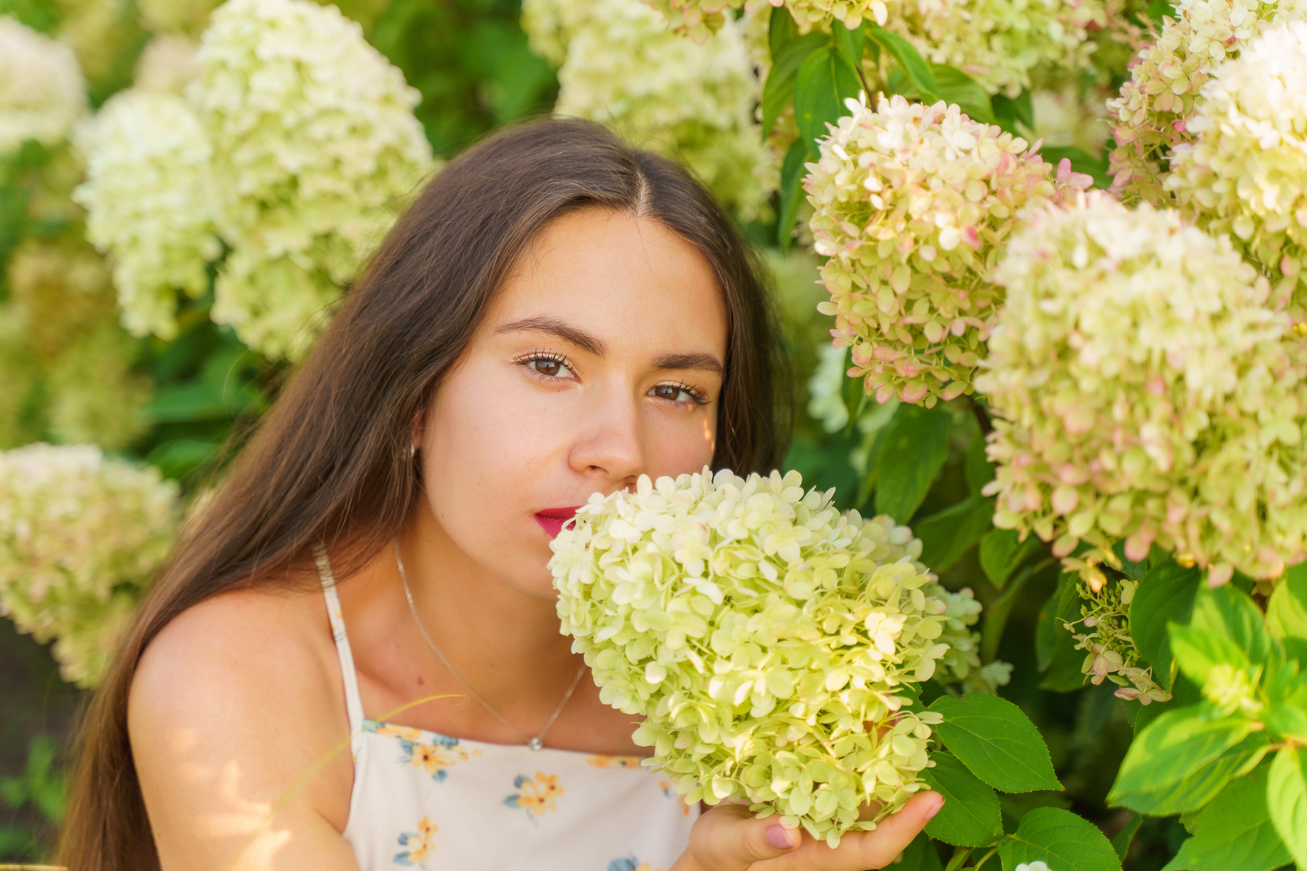 фотограф київ, сімейний фотограф київ, фотосесія вагітності, фотограф для вагітних,  фотосесія в гортензіях, 