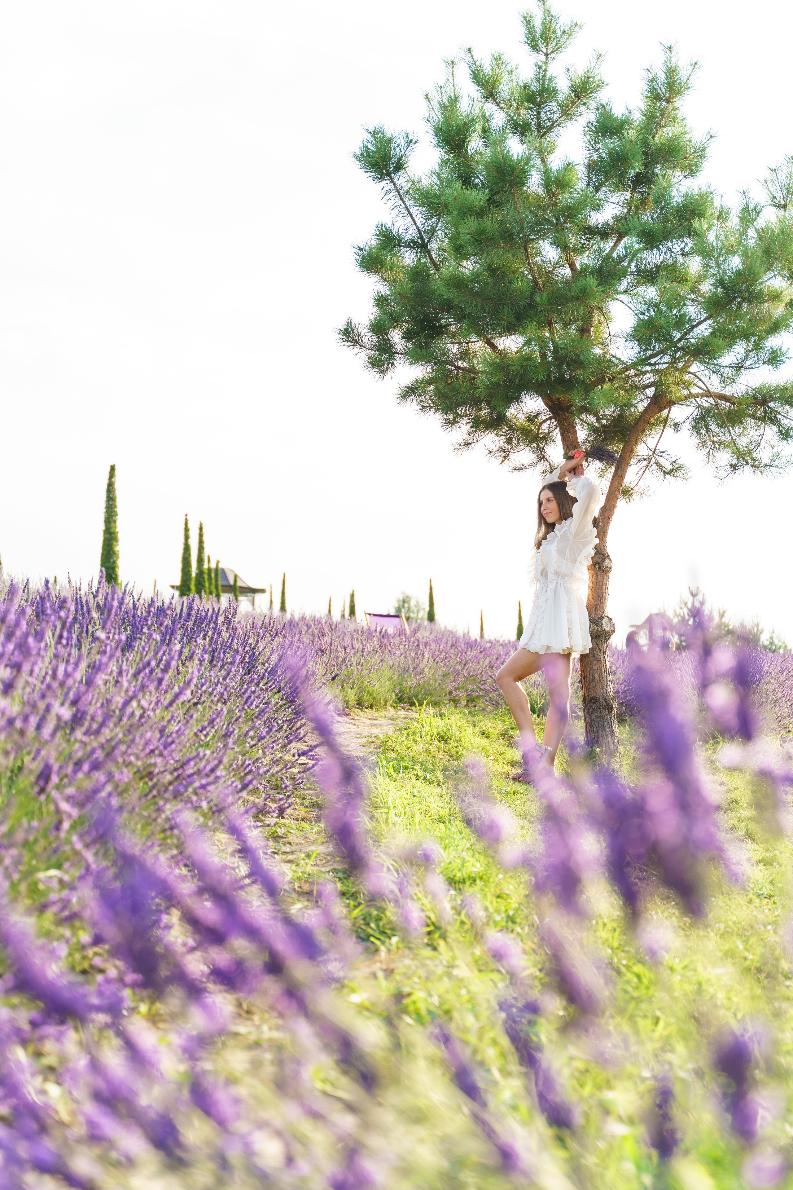 Фотосесія в лаванді у Добропарку. Family photographer in Kiev Natalia Shkavron