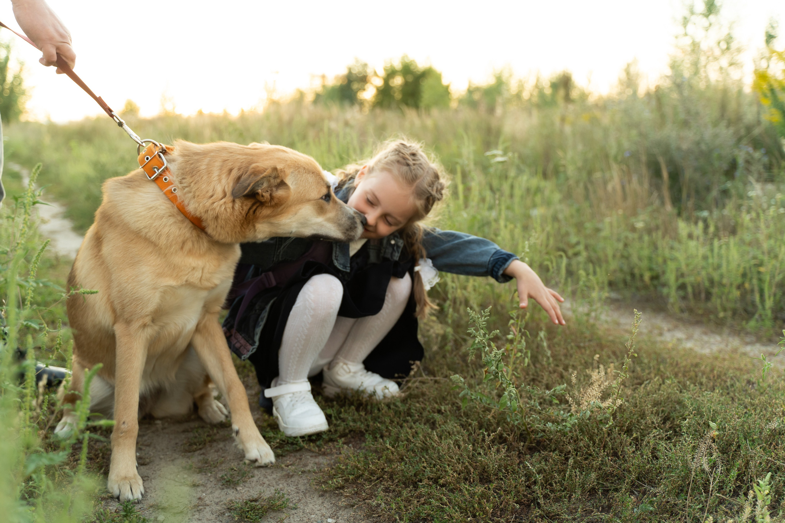 1 вересня. Сімейний фотограф Київ Наталія Шкаврон