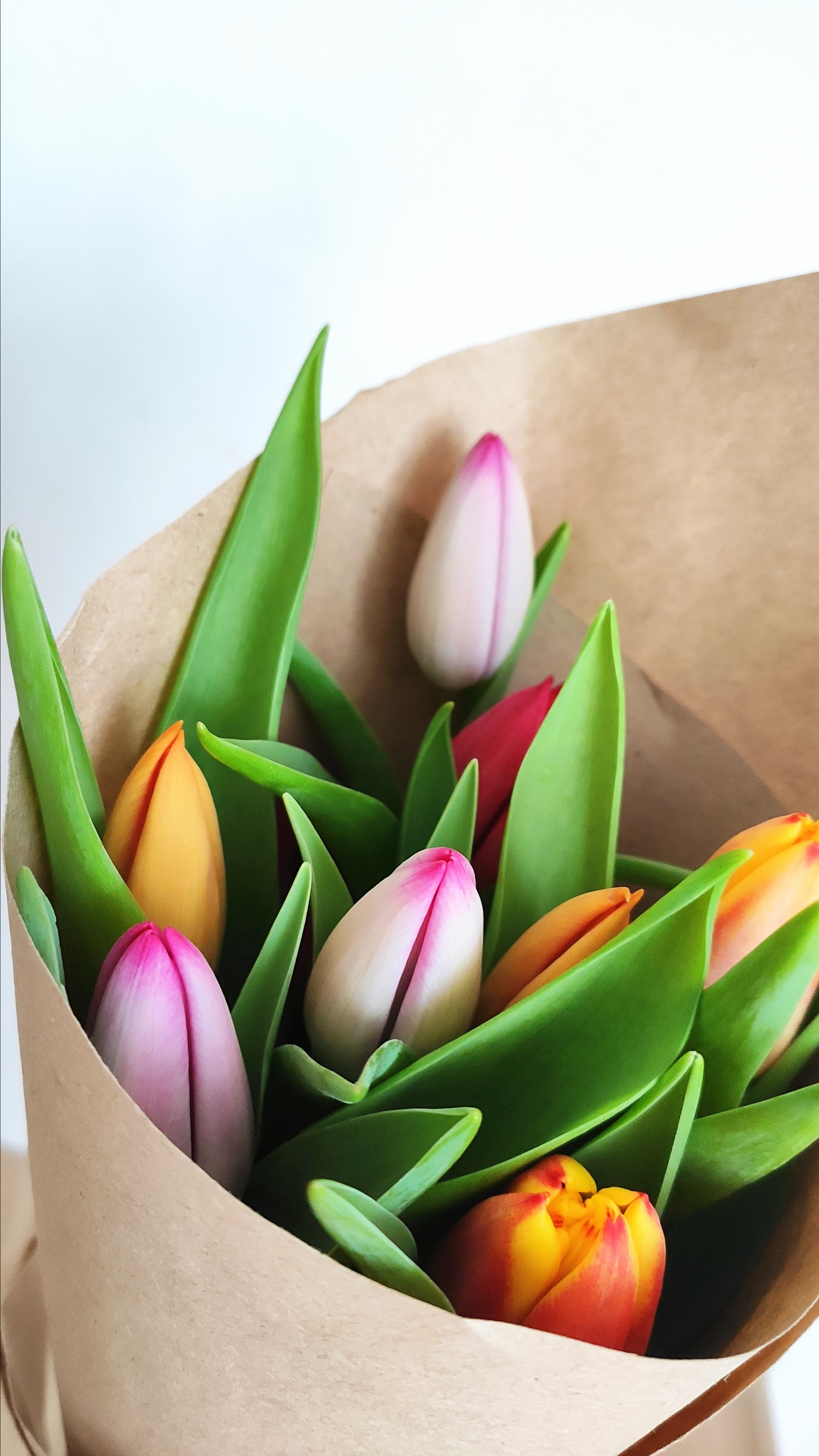 Весняні шпалери на телефон. Сімейний фотограф Київ Наталія Шкаврон