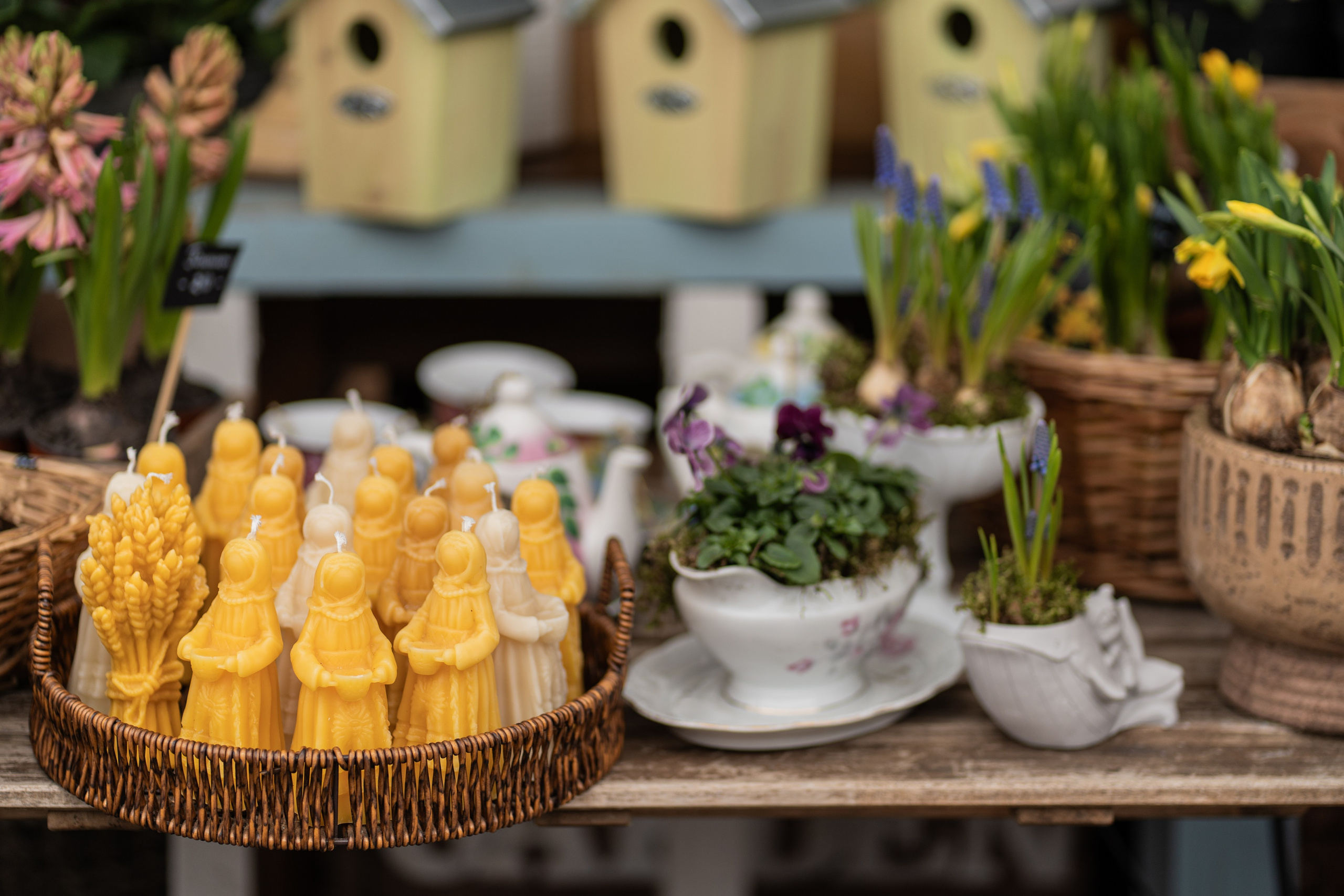 Весняні фотошпалери 2026. Сімейний фотограф Київ Наталія Шкаврон