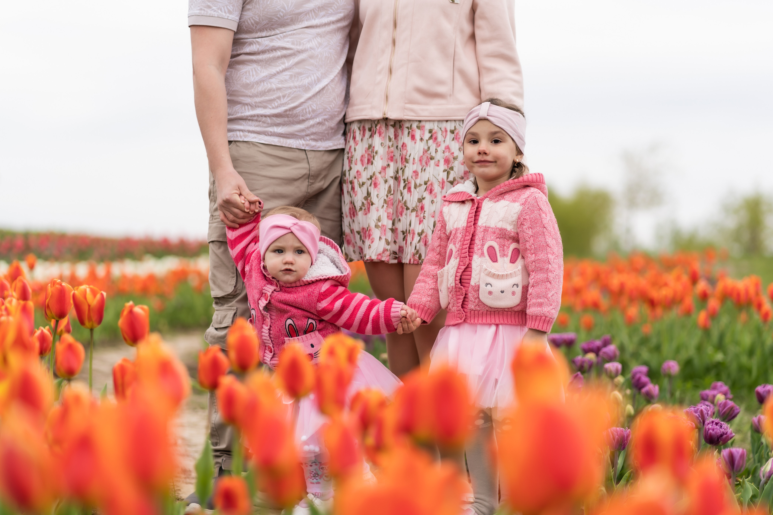 сімейна фотосесія в добропарку, Фотосесія в тюльпанах