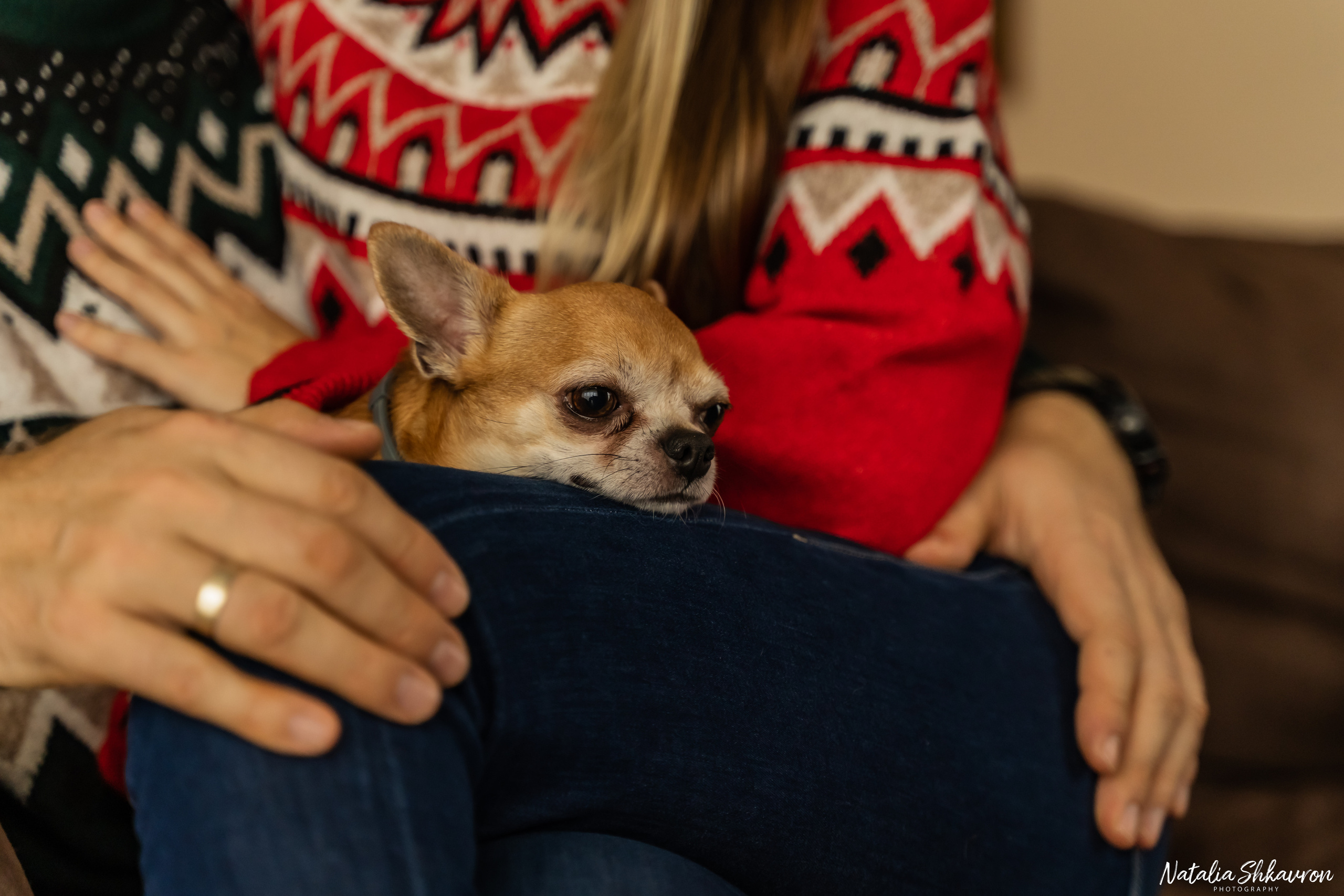 Новорічна фотосесія вдома. Сімейний фотограф Київ Наталія Шкаврон