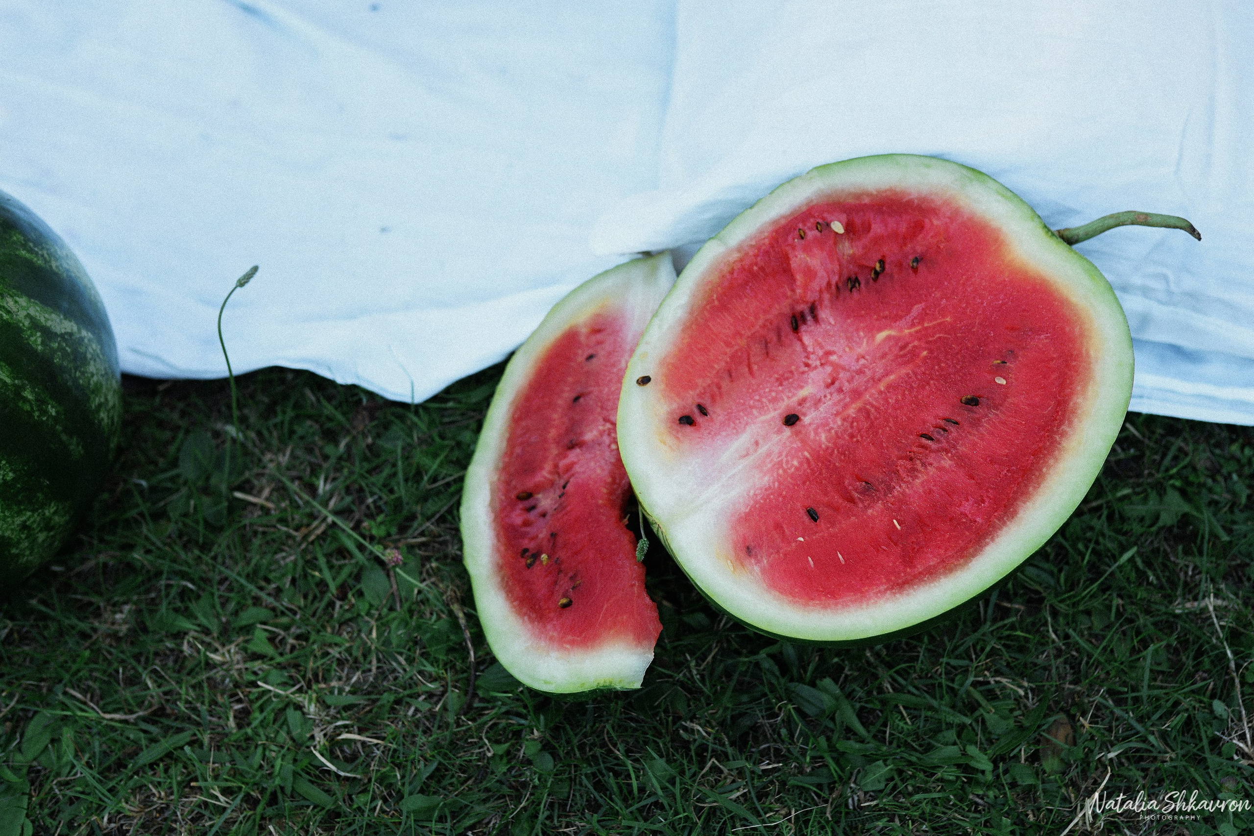 Сімейна фотосесія з кавунами. Family photographer in Kiev Natalia Shkavron